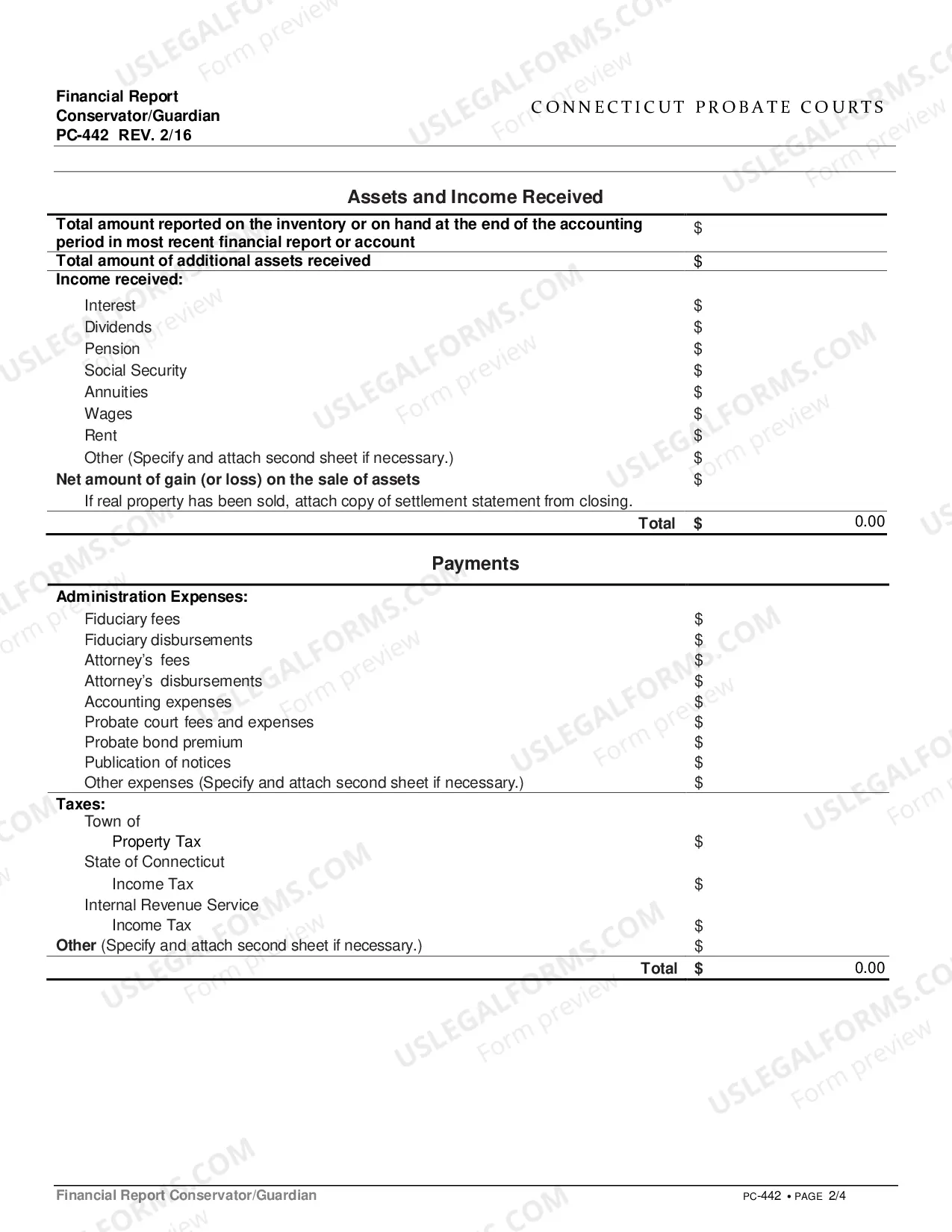 Preview Financial Report Conservator/Guardian