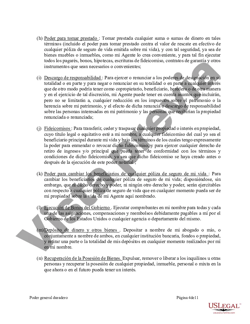 Preview Poder General Duradero para Bienes y Finanzas o Financiero Efectivo Inmediatamente