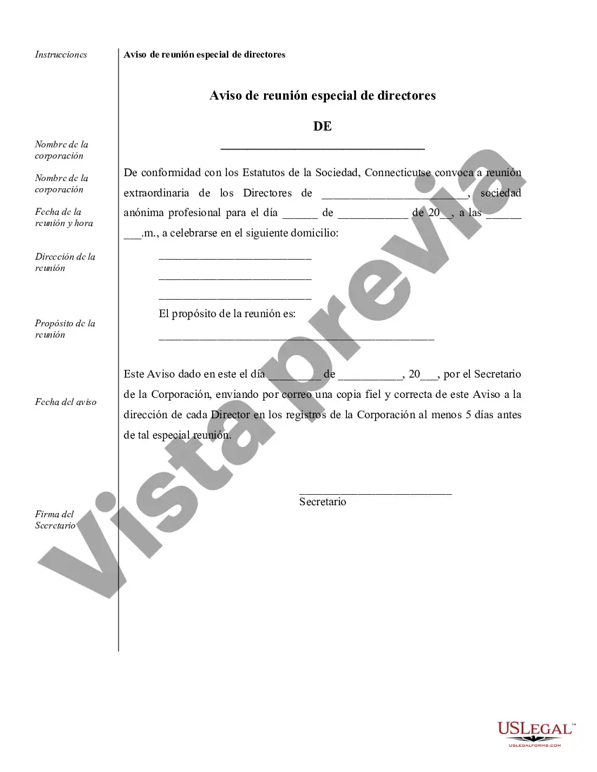 Preview Ejemplos de registros corporativos para una corporación profesional de Connecticut