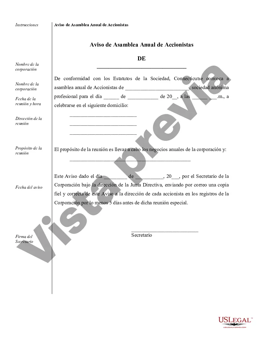 Preview Ejemplos de registros corporativos para una corporación profesional de Connecticut