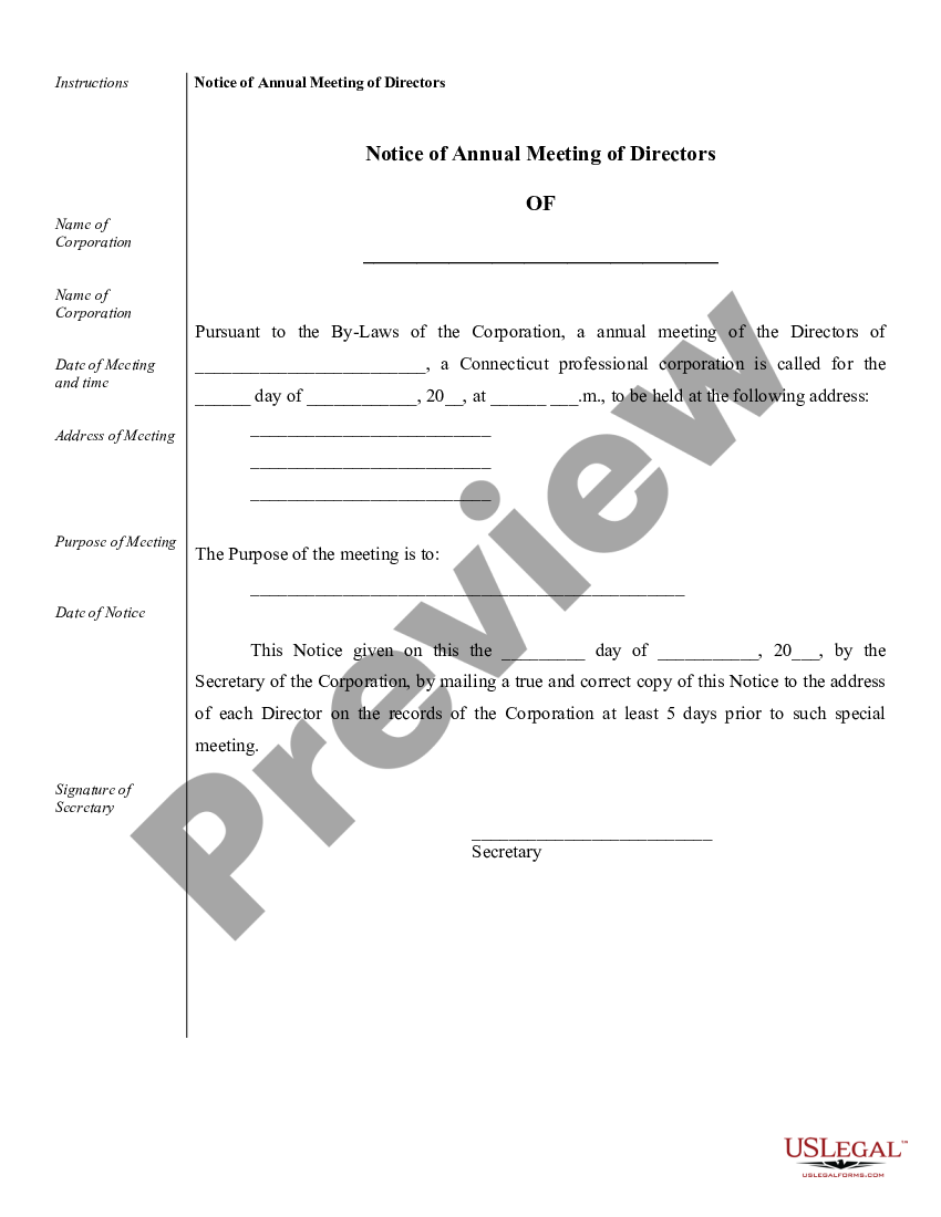 page 3 Sample Corporate Records for a Connecticut Professional Corporation preview