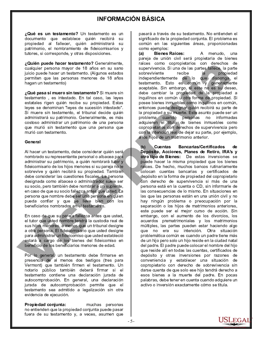 Preview Formulario de última voluntad y testamento legal para una pareja de unión civil sin hijos