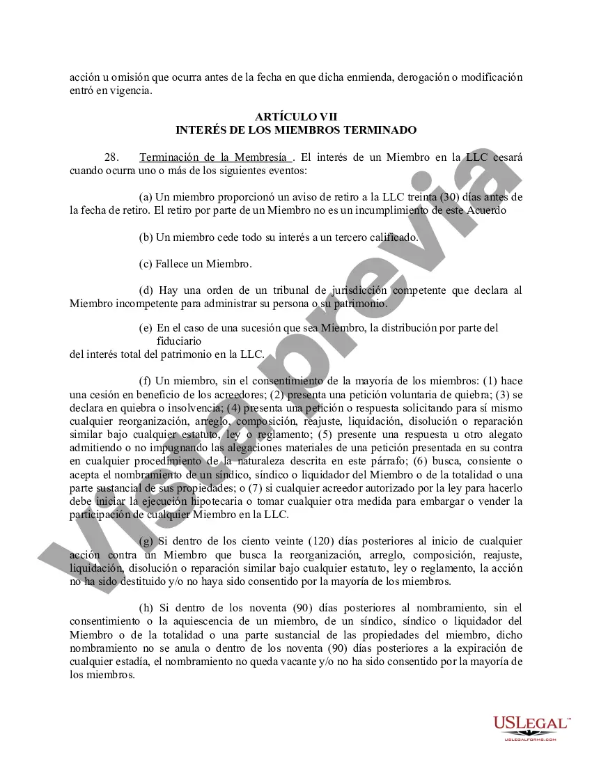 Preview Acuerdo Operativo de Sociedad de Responsabilidad Limitada LLC
