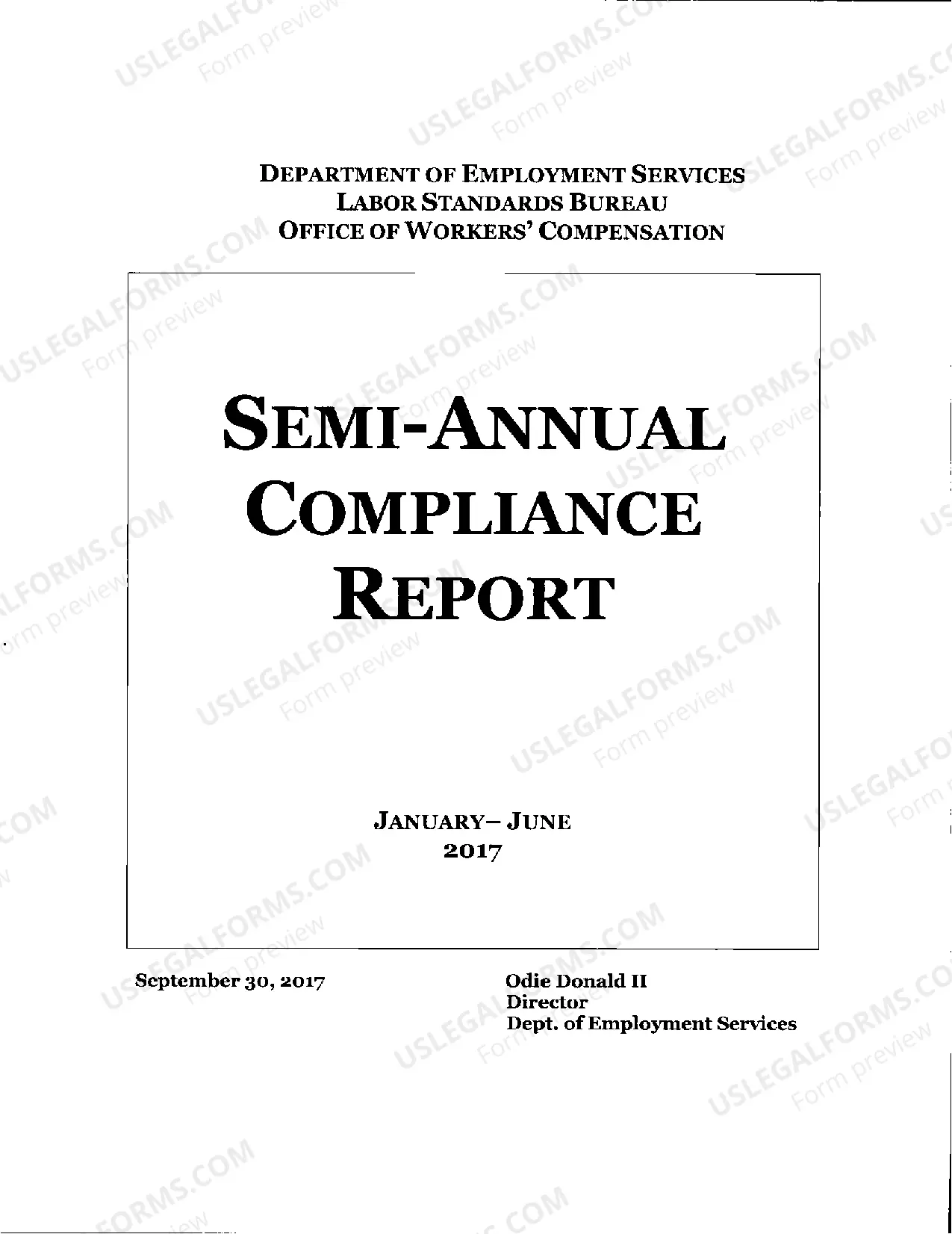 Preview Semi Annual Compliance Report