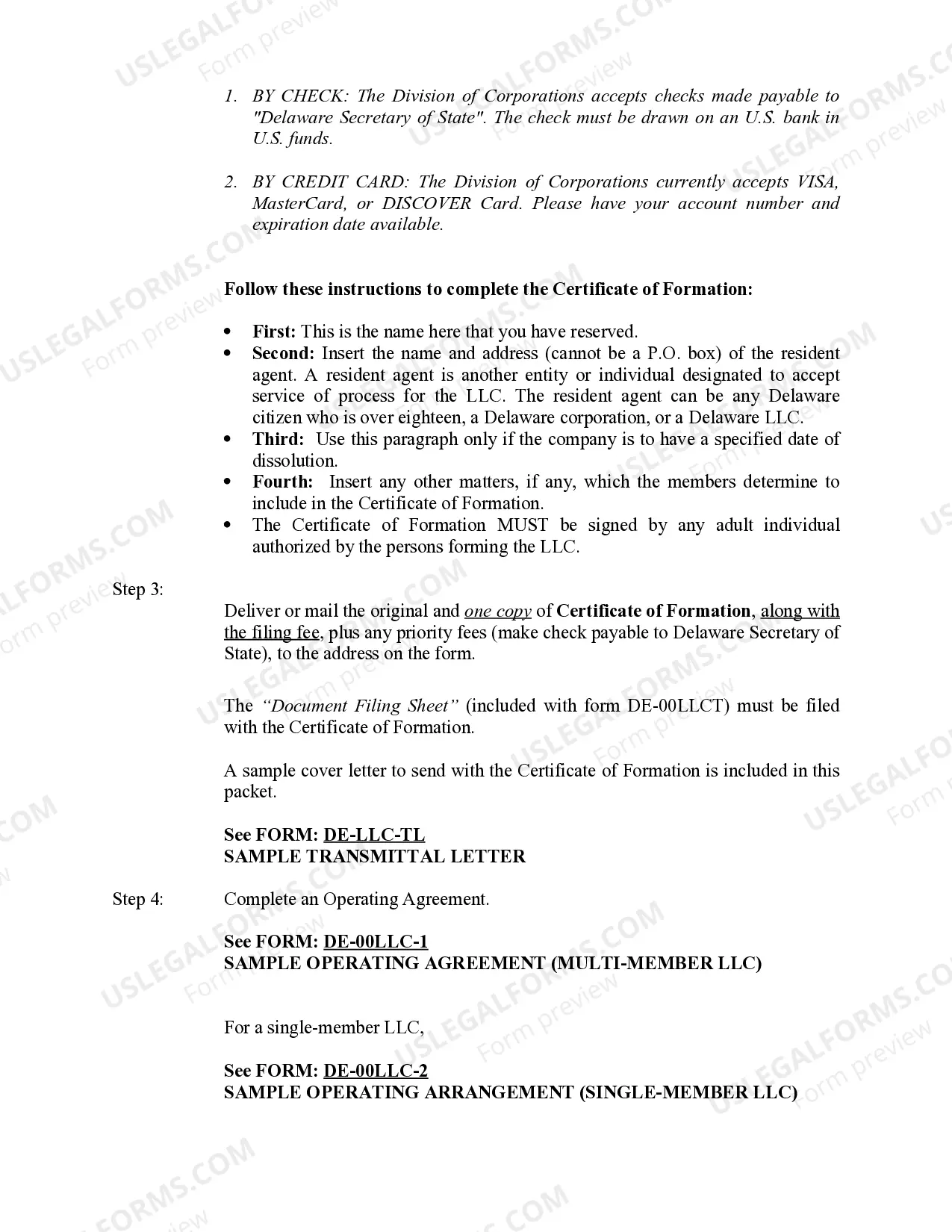 Preview Delaware Limited Liability Company LLC Formation Package
