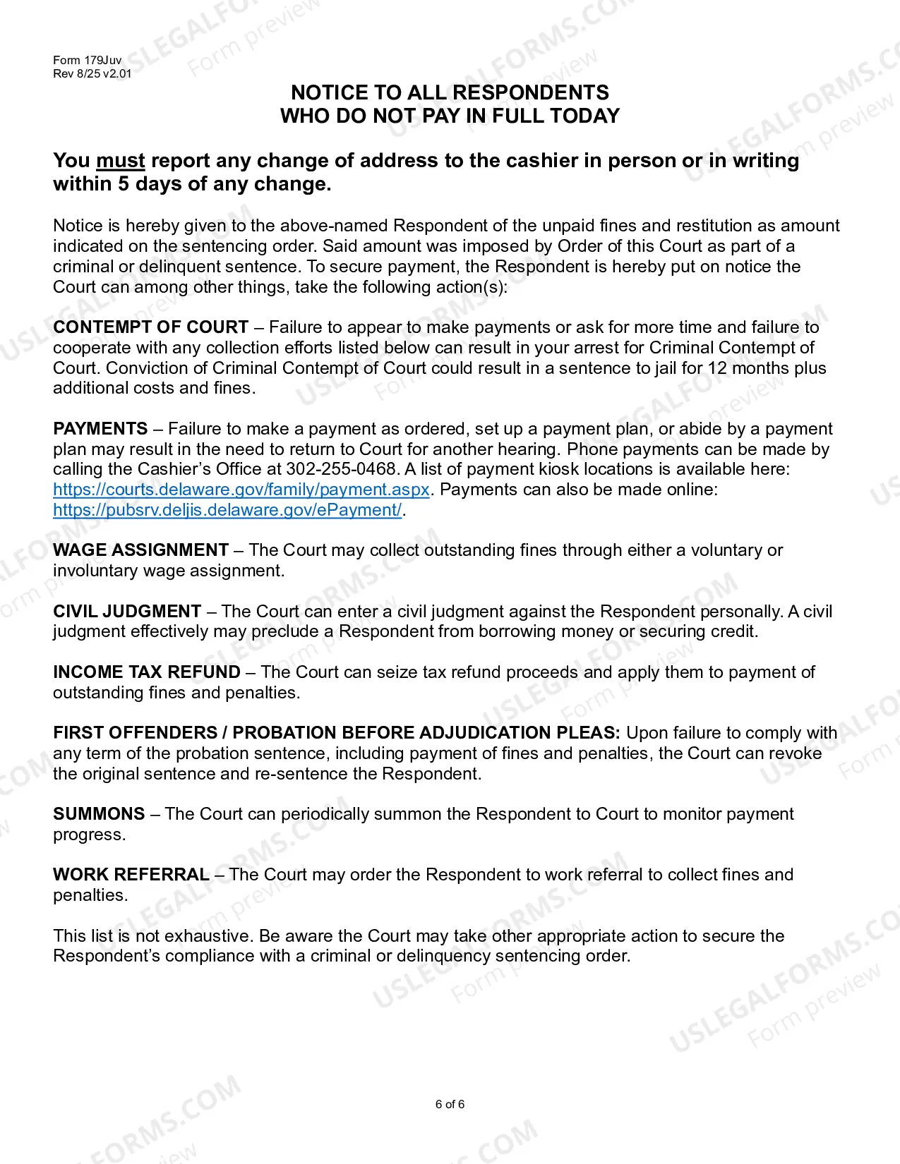 Preview Probation before Adjudication of Delinquency Interim Order