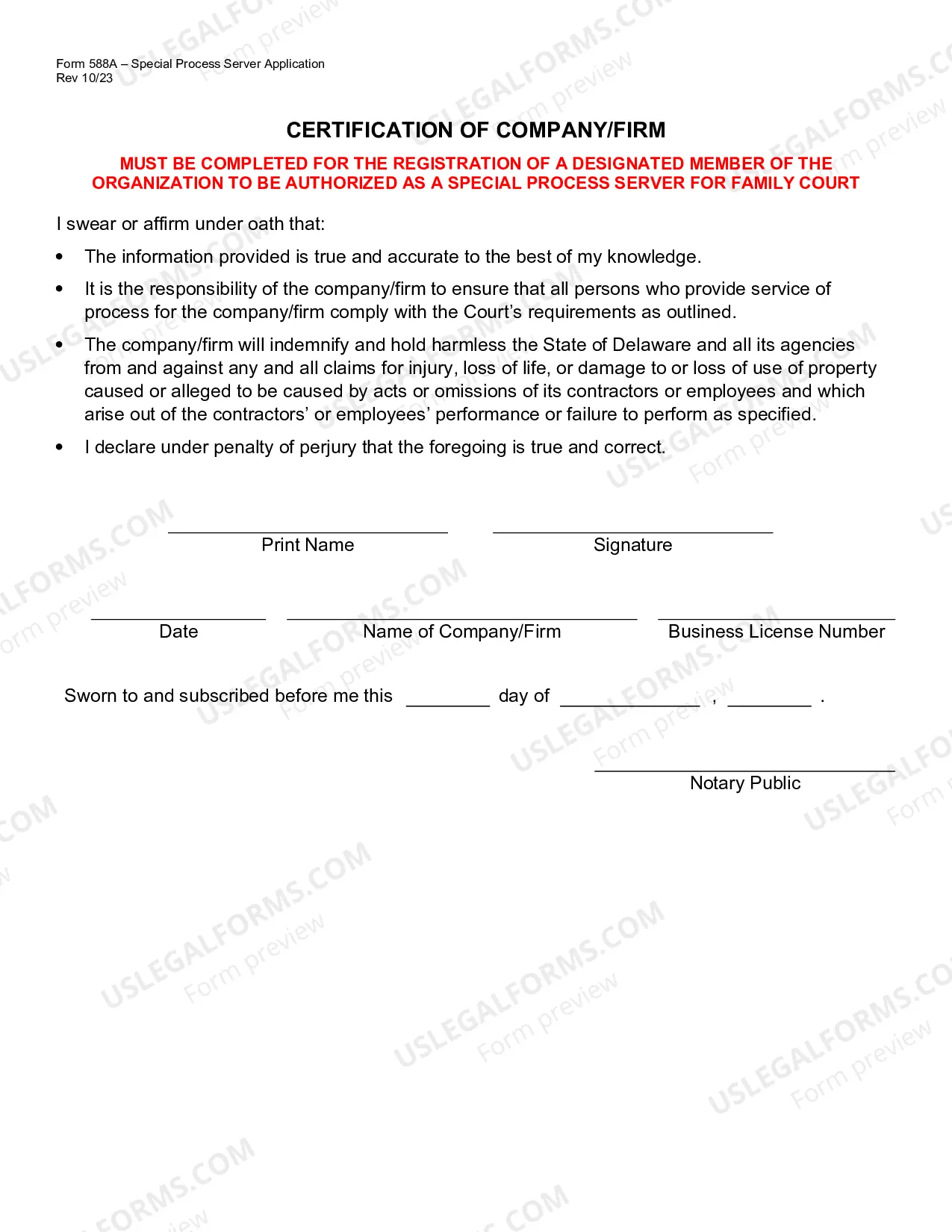 Preview Family Court Special Process Server Application