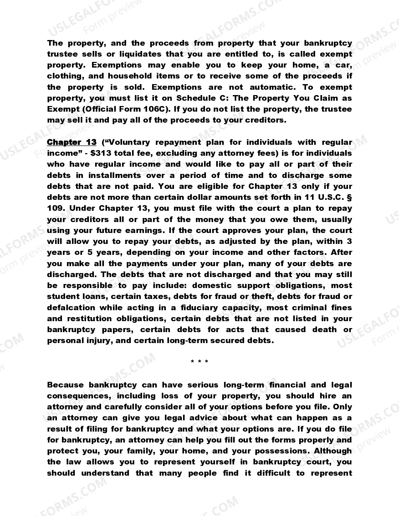 Preview Delaware Bankruptcy Guide and Forms Package for Chapters 7 or 13