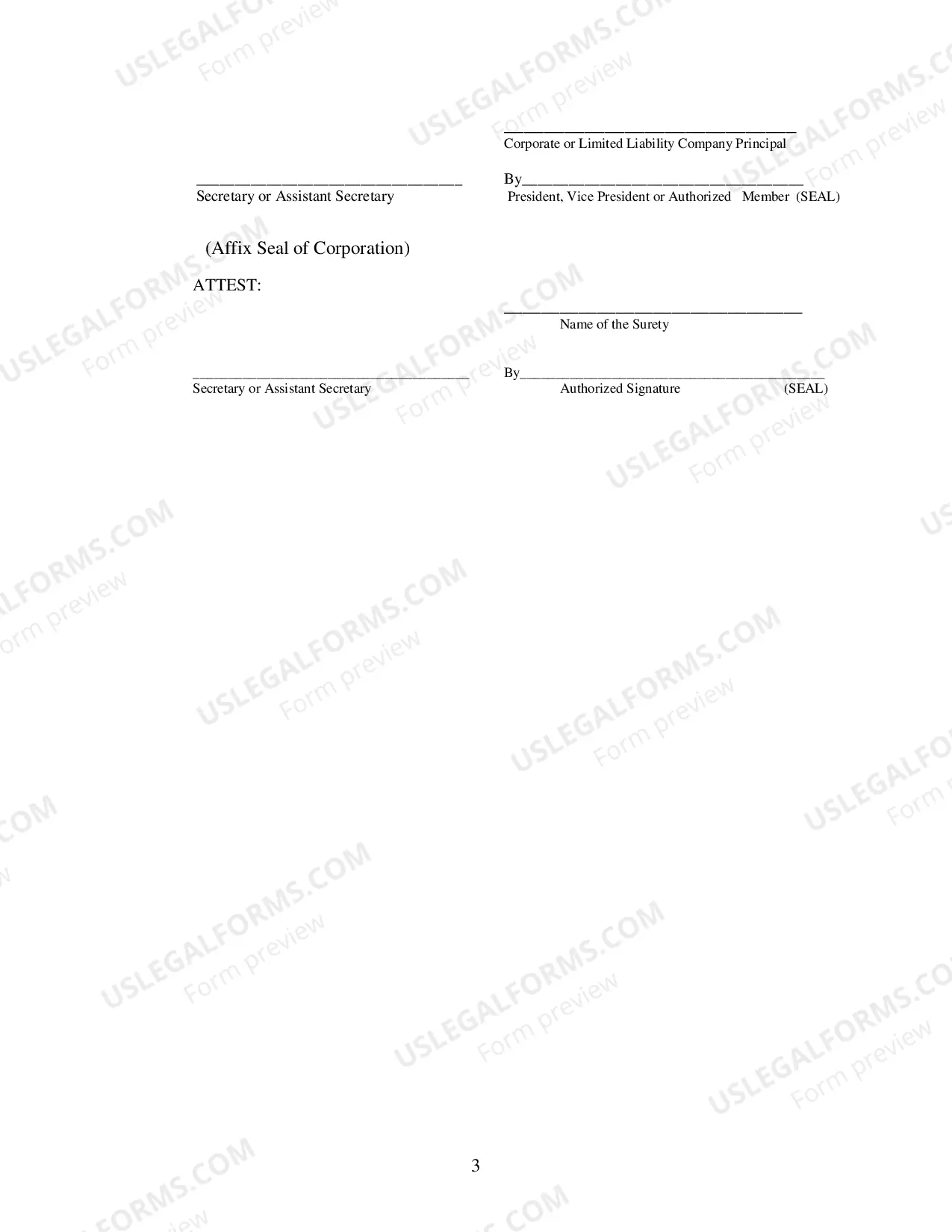 Preview Surety Bond