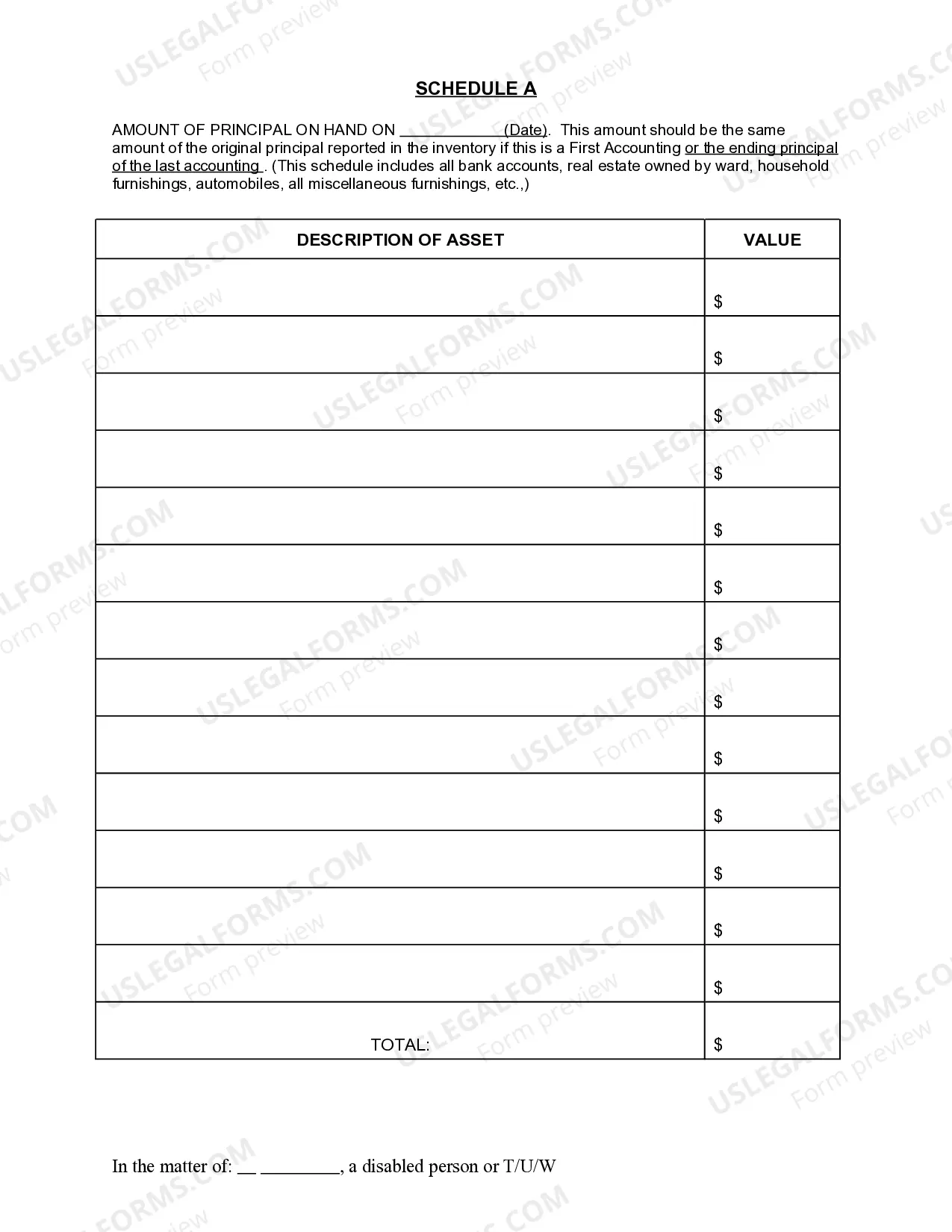 Preview Guardianship Accounting Packet - Fill-in Form