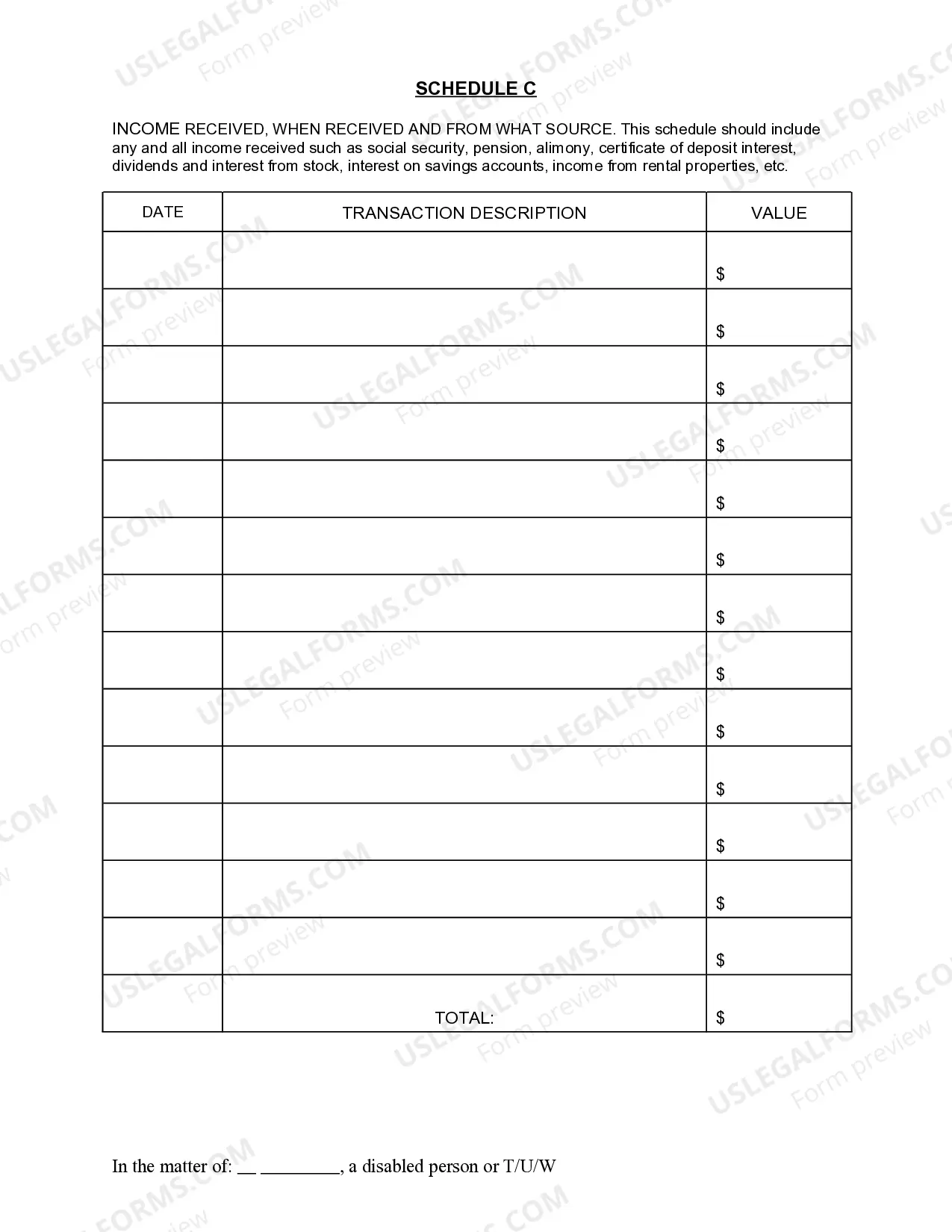 Preview Guardianship Accounting Packet - Fill-in Form