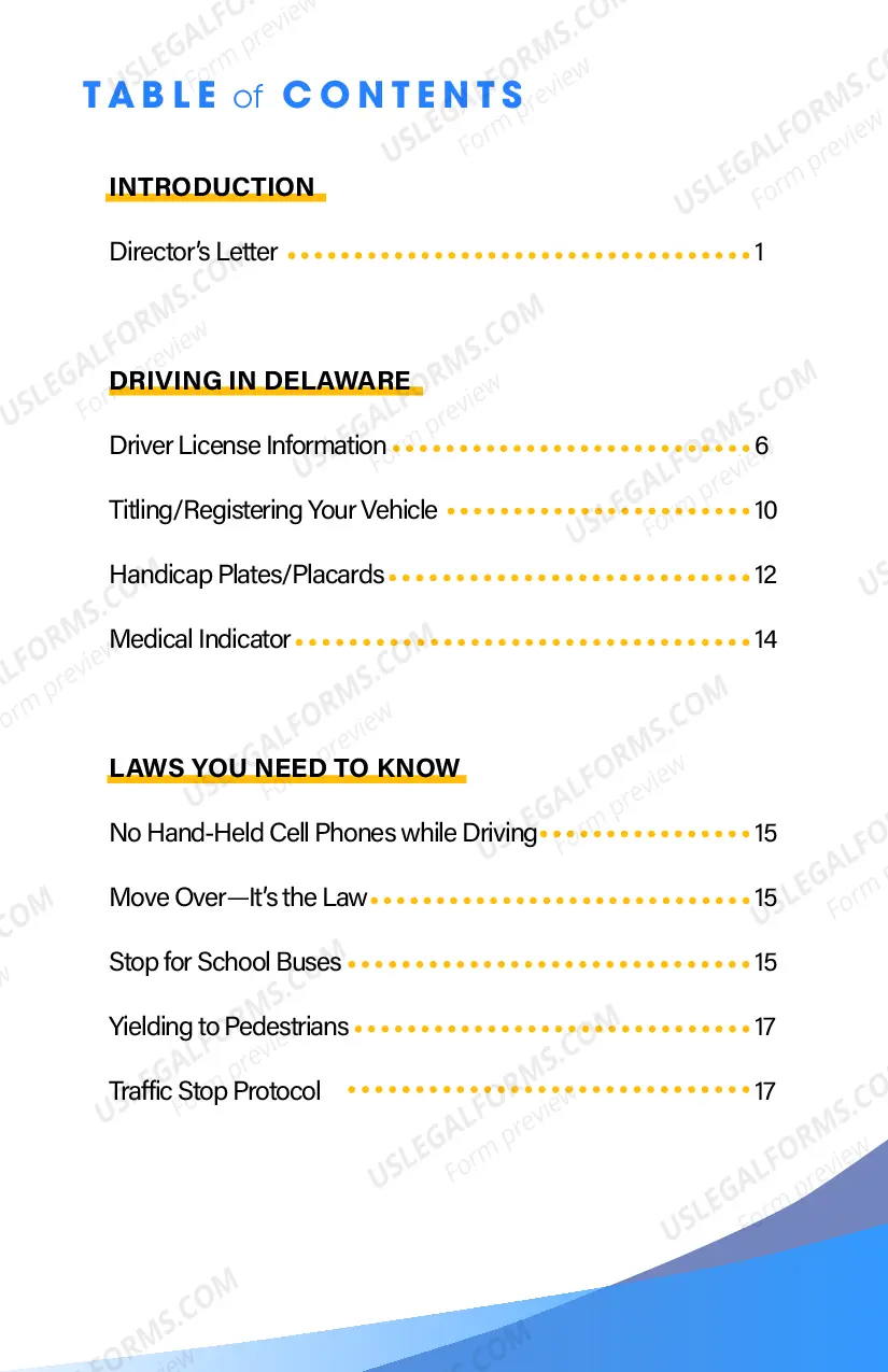 Preview Senior Driver Guide