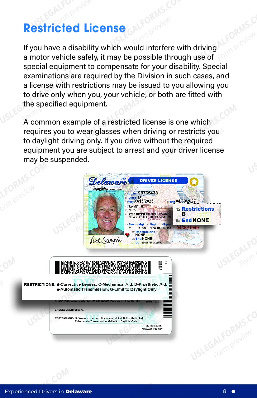 Preview Senior Driver Guide