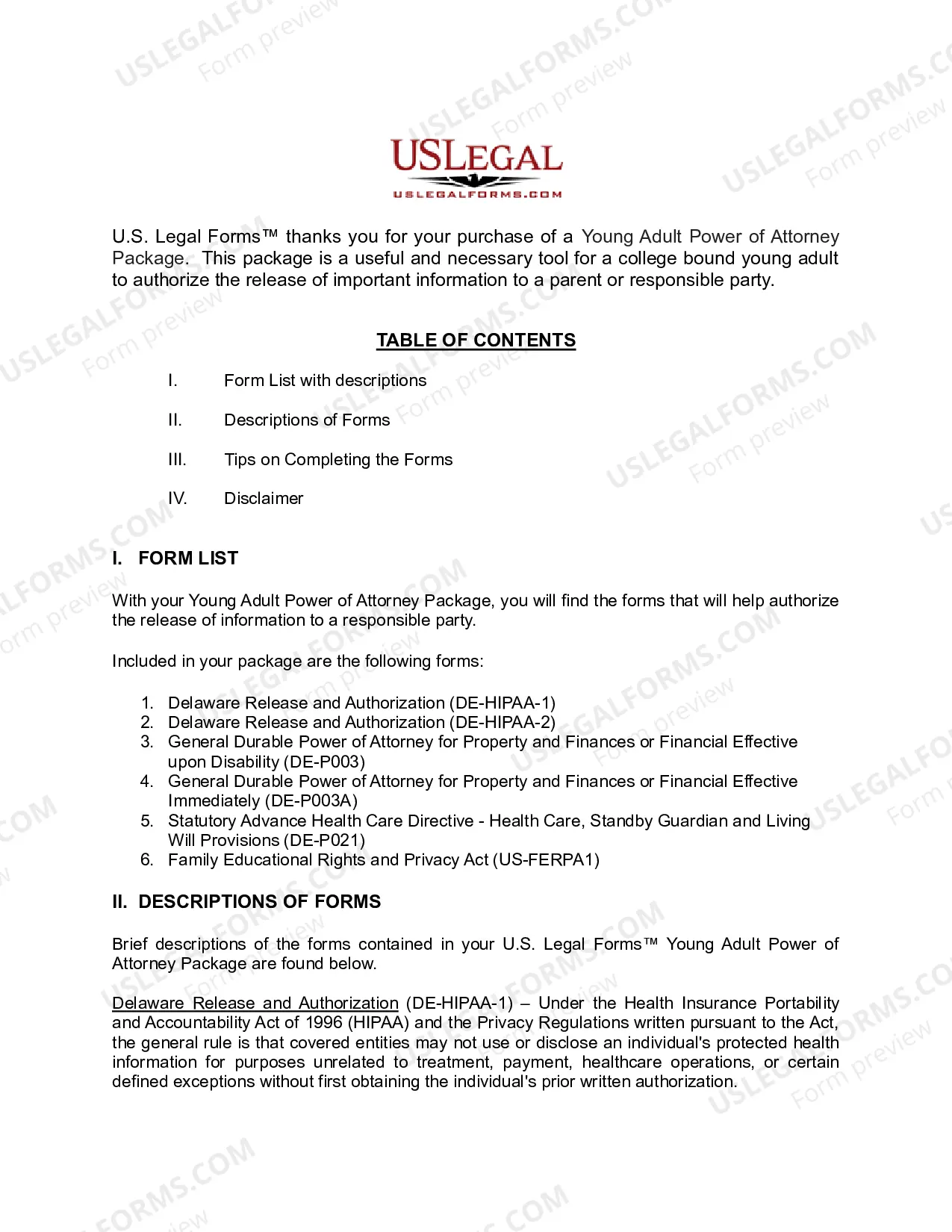 Preview Delaware Young Adult Power of Attorney Package
