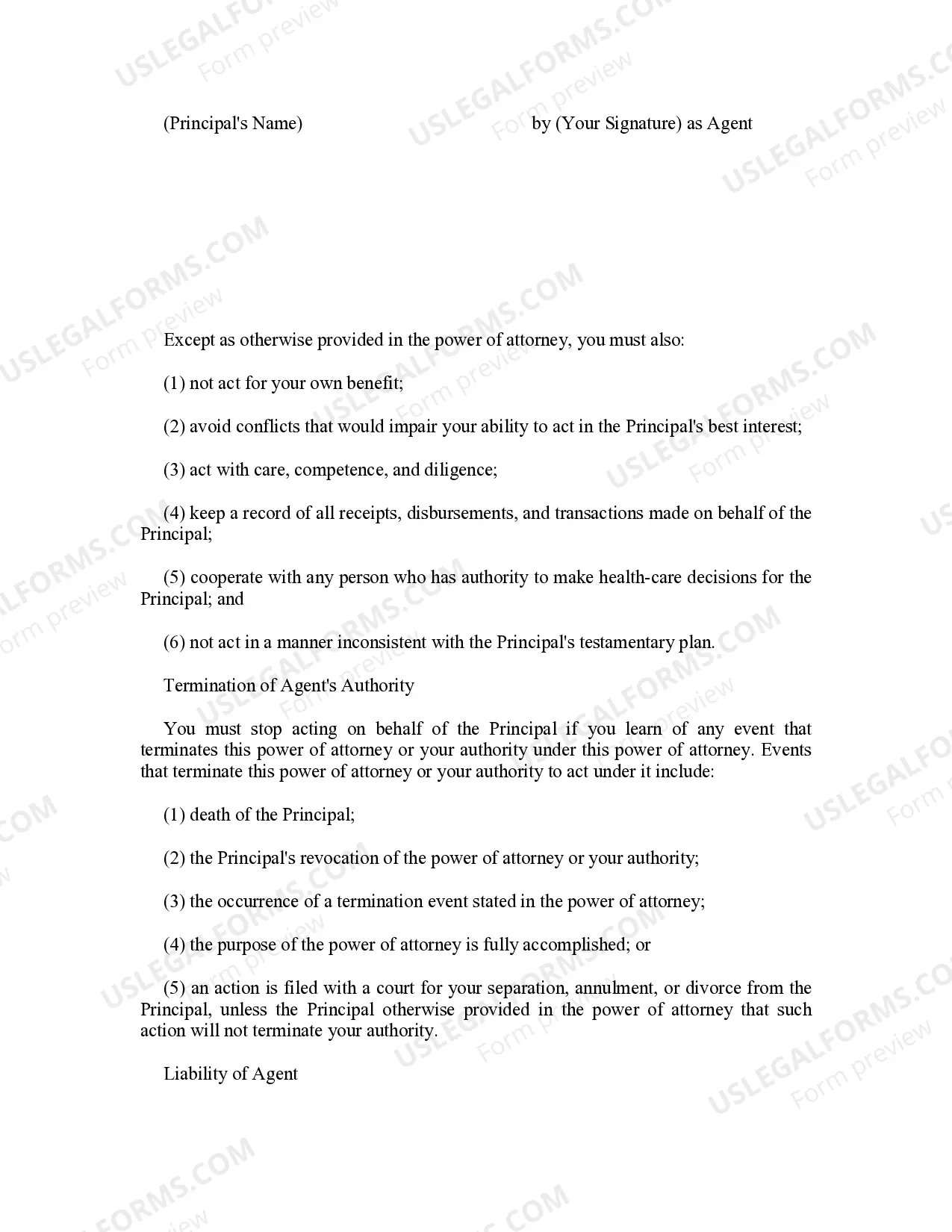 Preview Delaware Statutory Personal Durable Power of Attorney