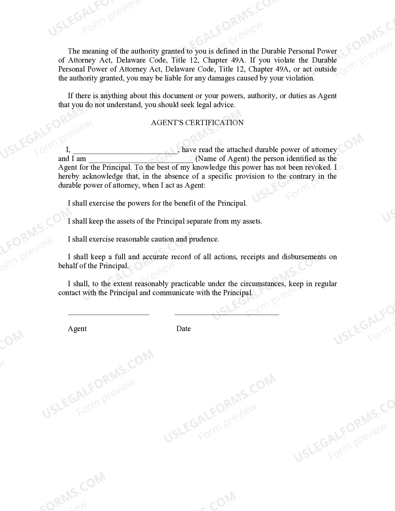 Preview Delaware Statutory Personal Durable Power of Attorney