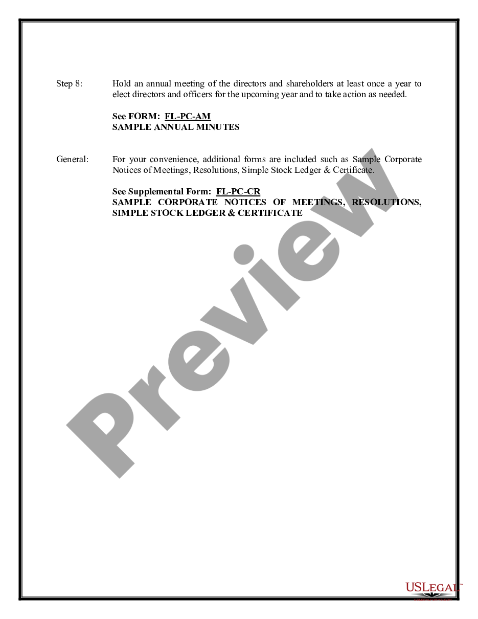 page 9 Professional Corporation Package for Florida preview