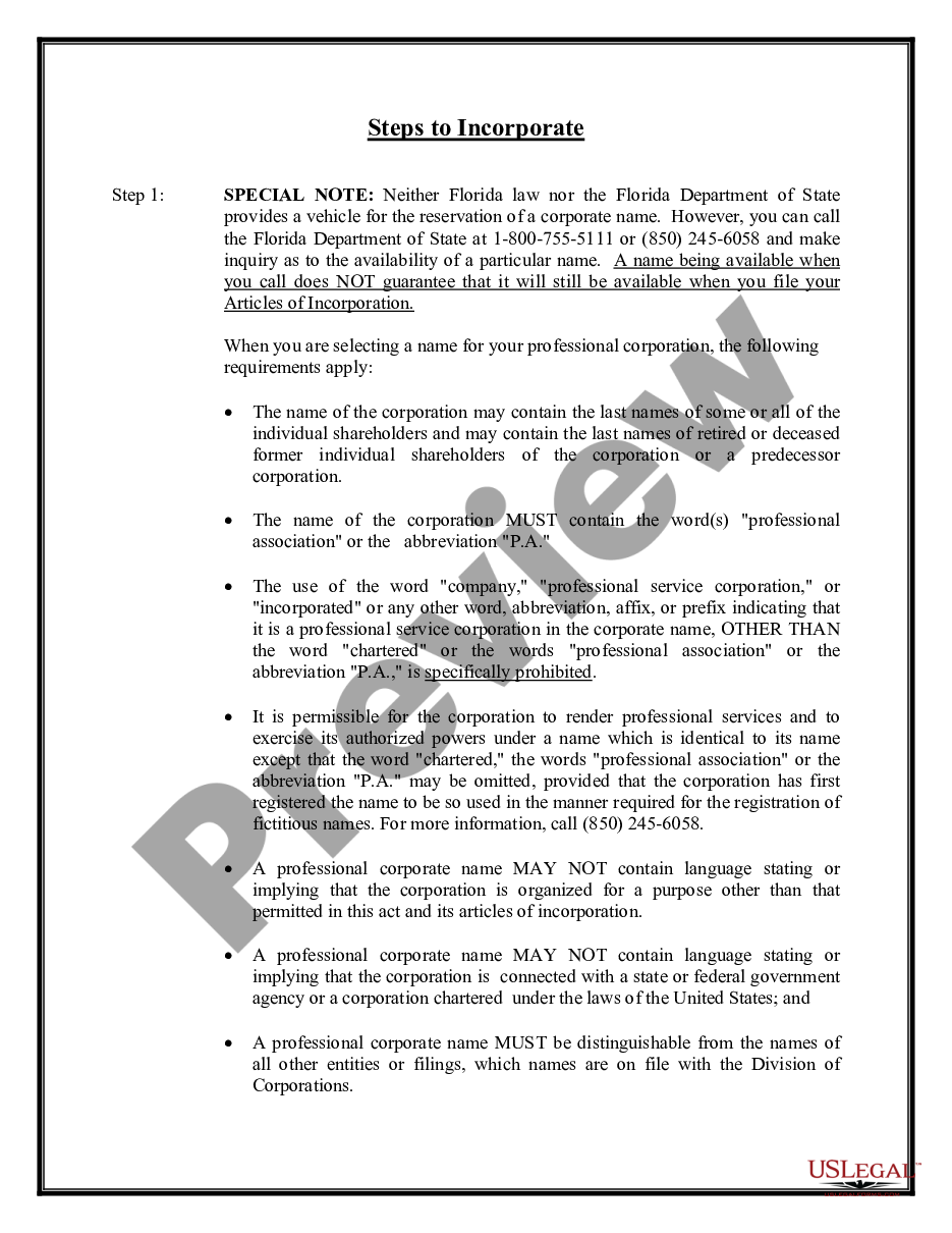 page 7 Professional Corporation Package for Florida preview