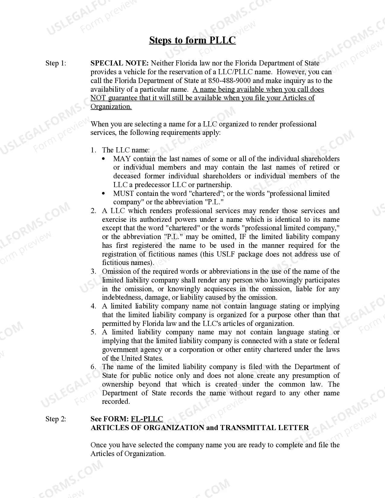 Preview Florida Professional Limited Liability Company PLLC Formation Package