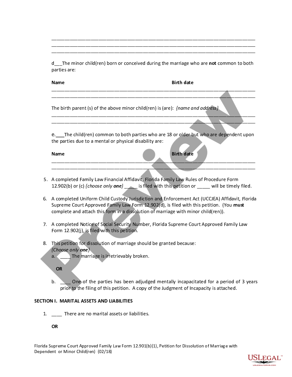 page 6 Petition for Dissolution of Marriage with Dependent or Minor Children preview