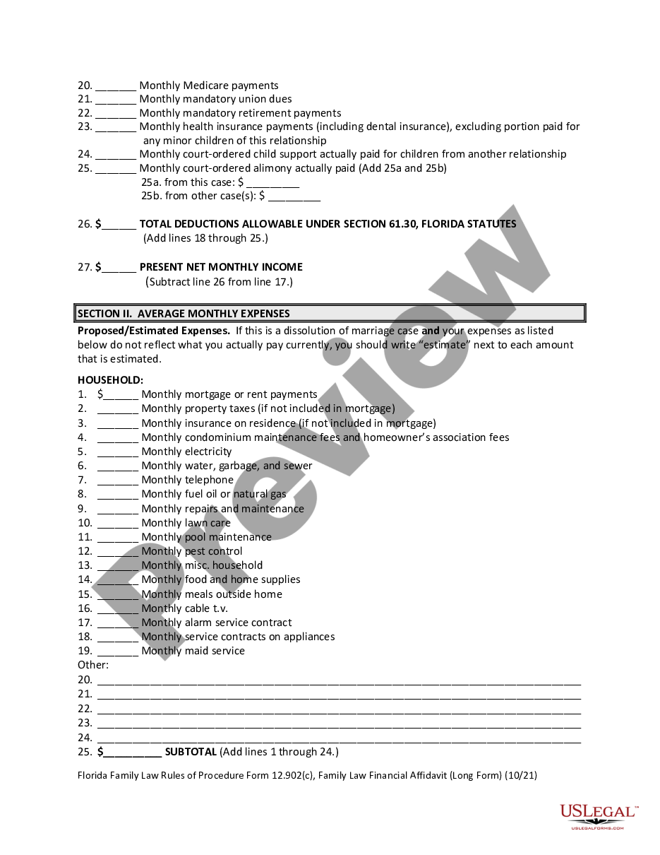 page 5 Family Law Financial Affidavit preview