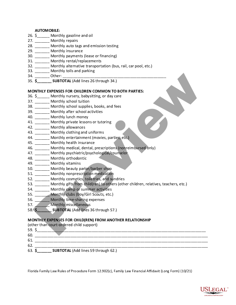 page 6 Family Law Financial Affidavit preview