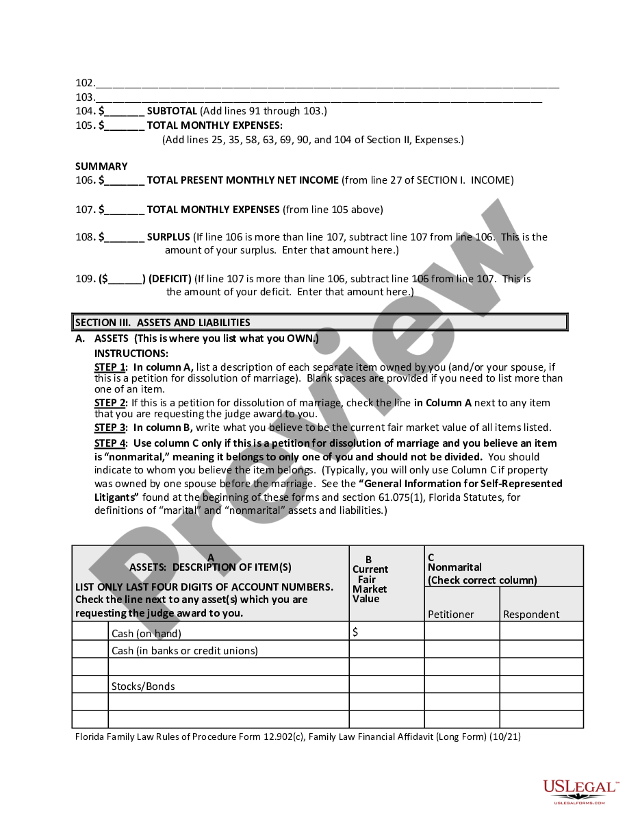 page 8 Family Law Financial Affidavit preview