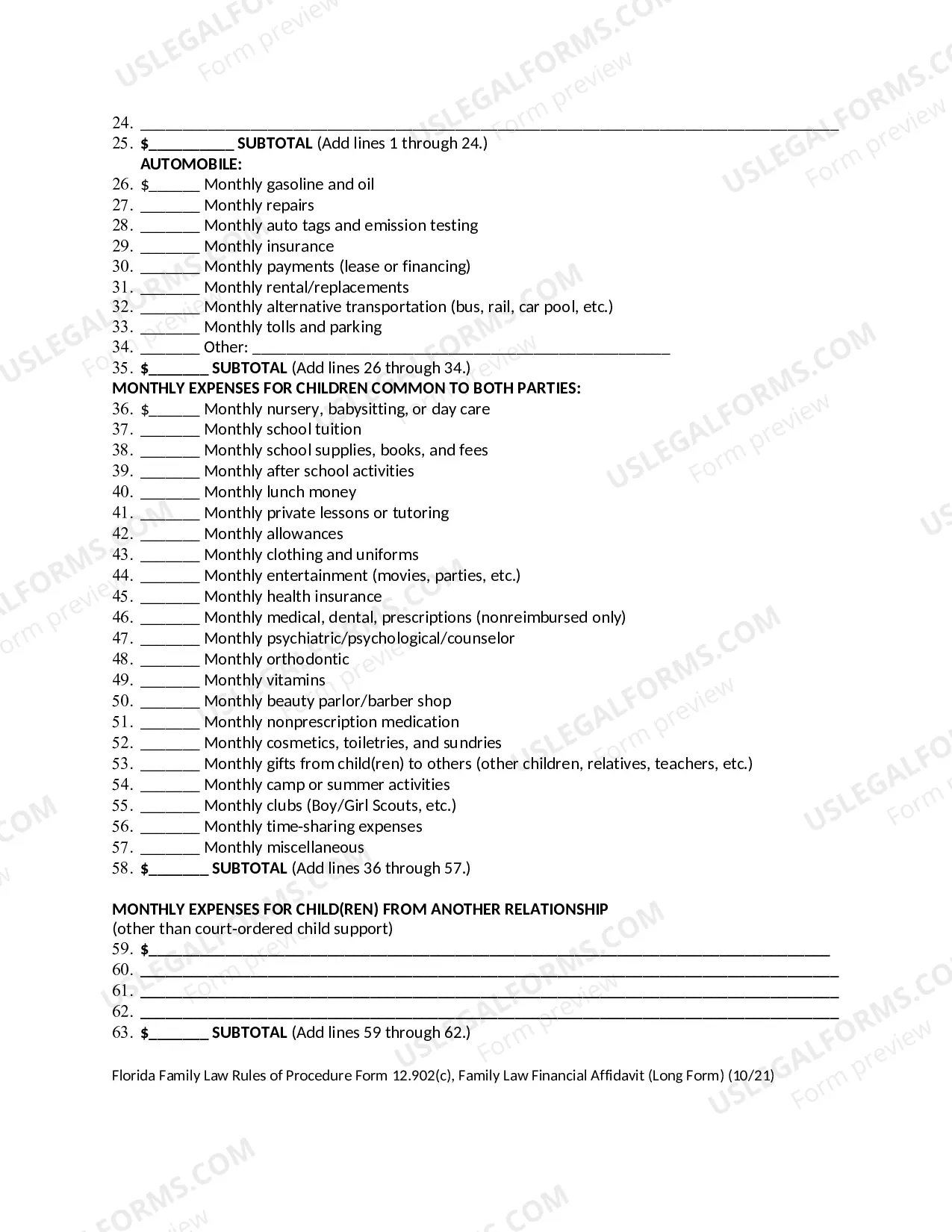 Preview Family Law Financial Affidavit