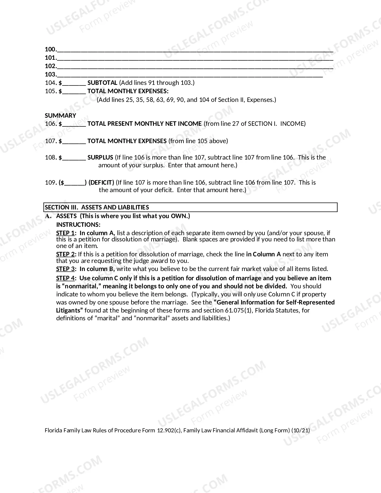 Preview Family Law Financial Affidavit