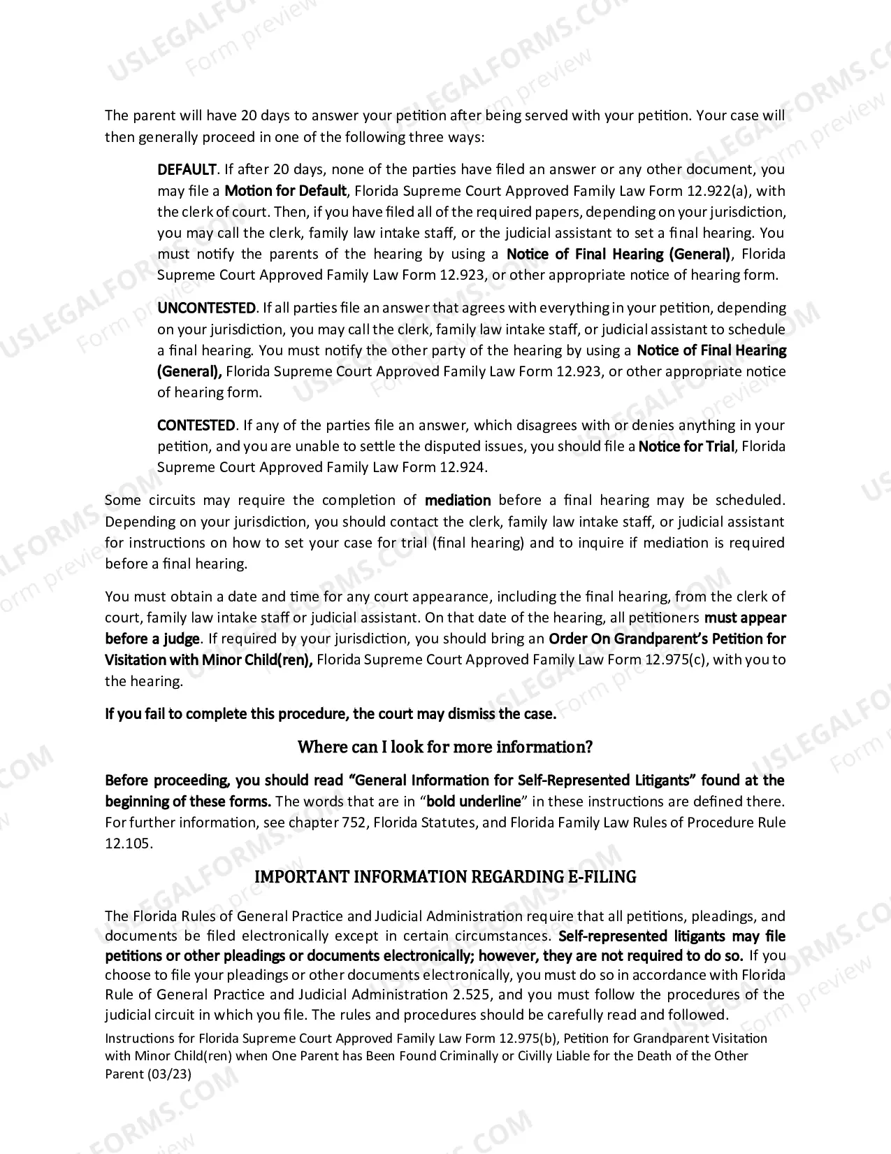 Preview Petition for Grandparent Visitation with Minor Child(ren) when One Parent Has Been Found Criminally or Civilly Liable for the Death of the Other Parent