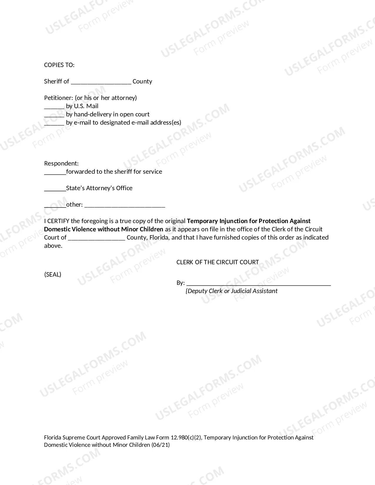 Preview Temporary Injunction for Protection Against Domestic Violence Without Minor Children