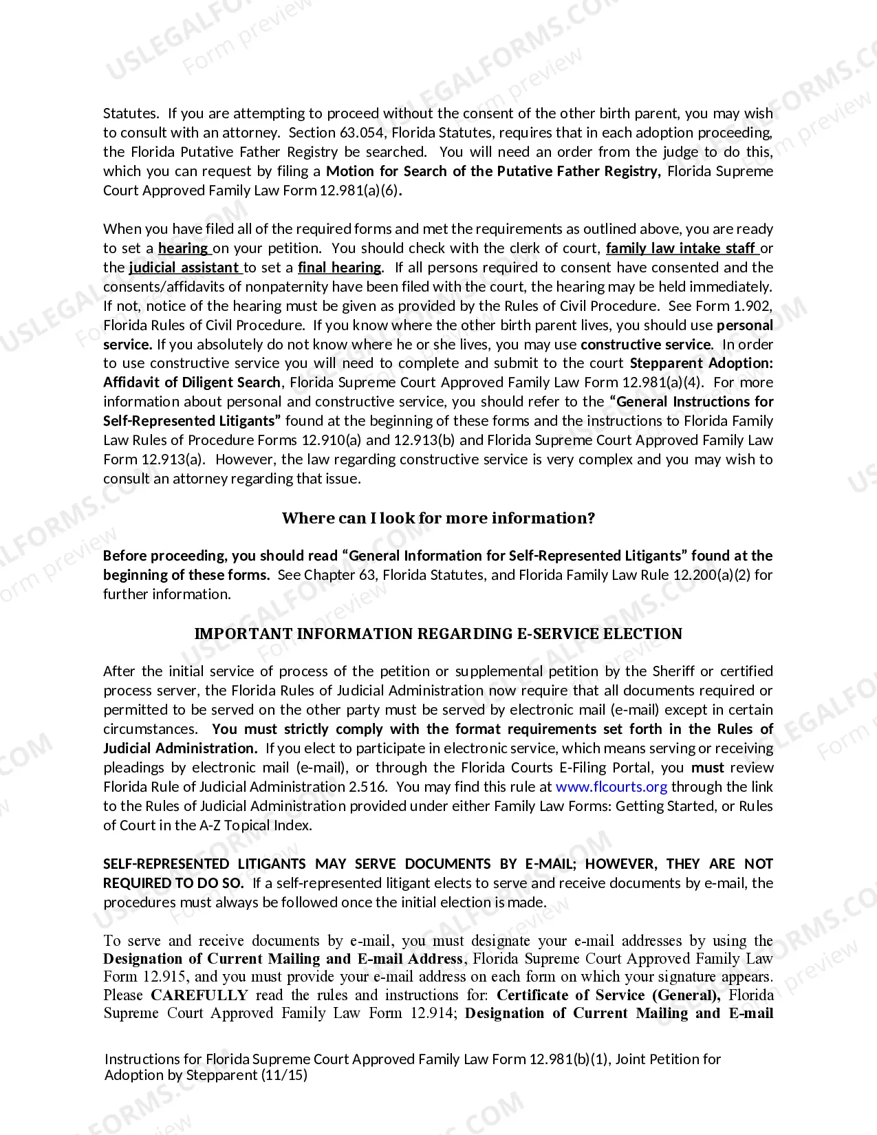 Preview Joint Petition for Adoption by Stepparent