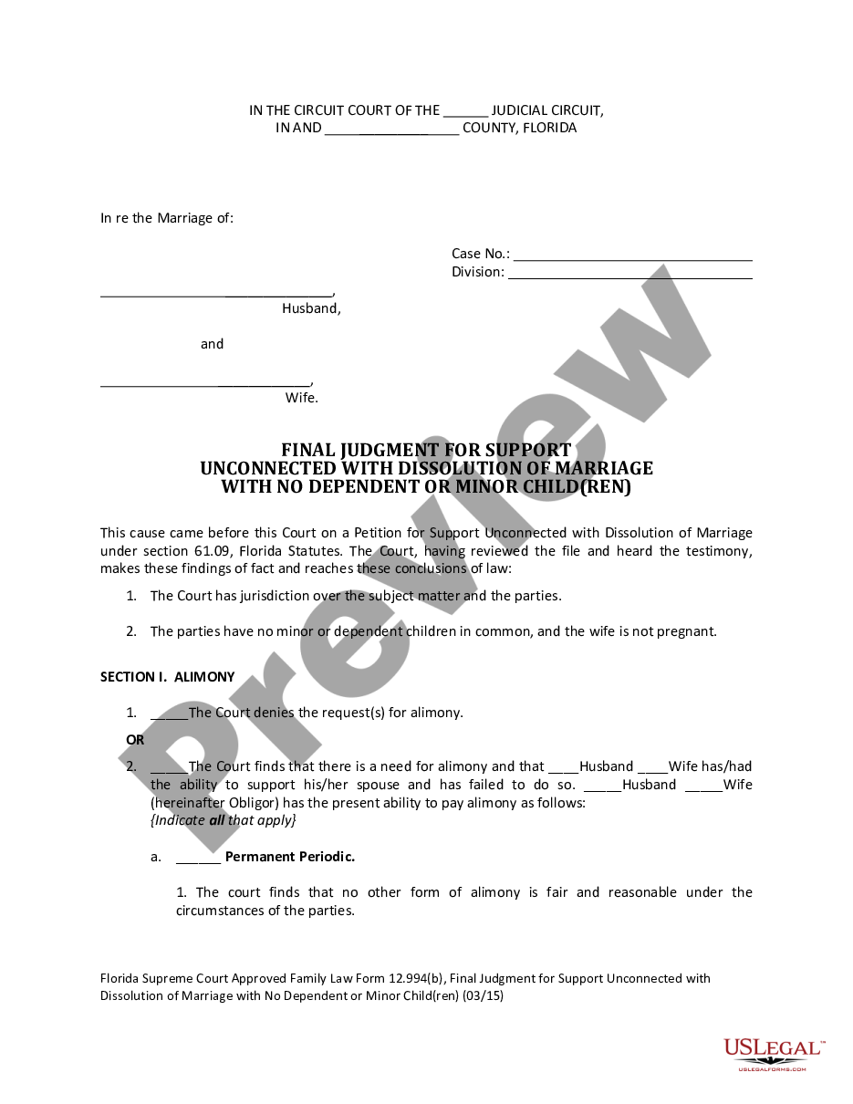 page 0 Final Judgment for Support Unconnected with Dissolution of Marriage with No Dependent or Minor Children preview