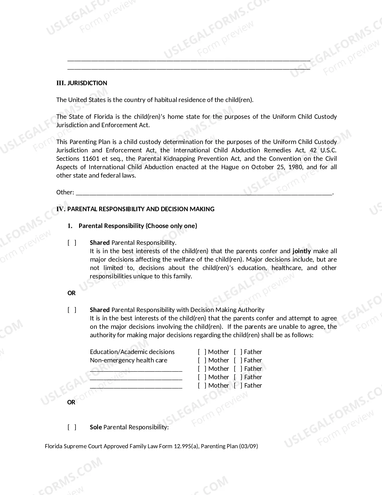 Preview Parenting Plan and Instructions
