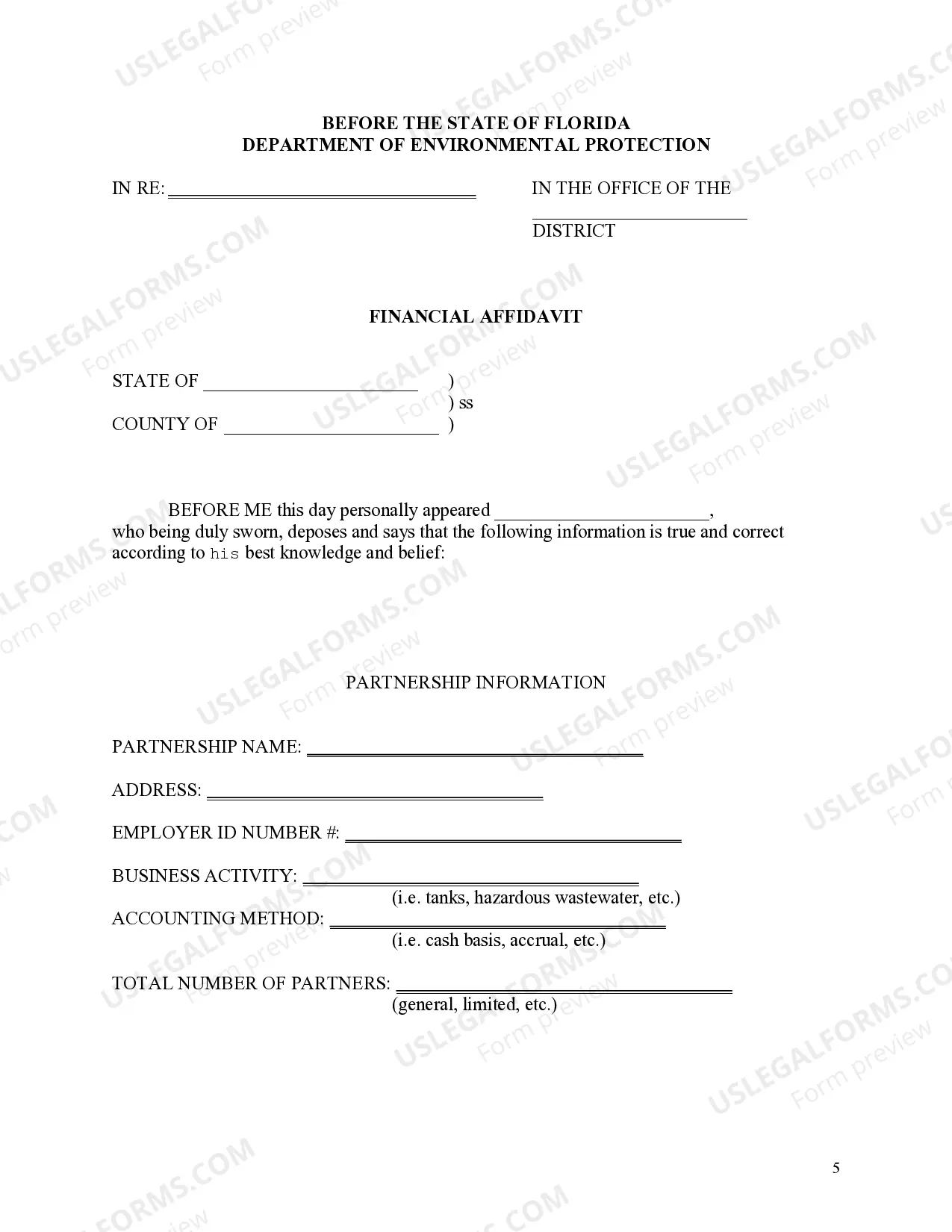 Preview Financial Affidavit for Partnership