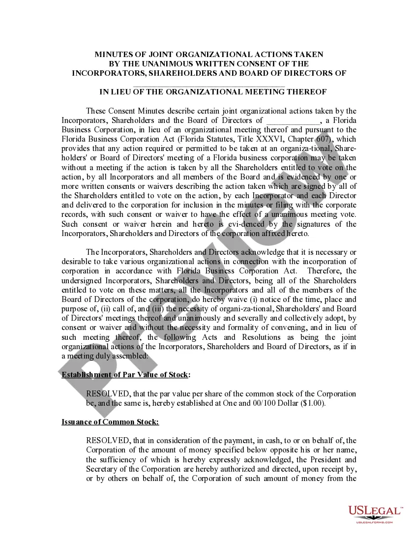 Preview Minutes for Organizational Meeting