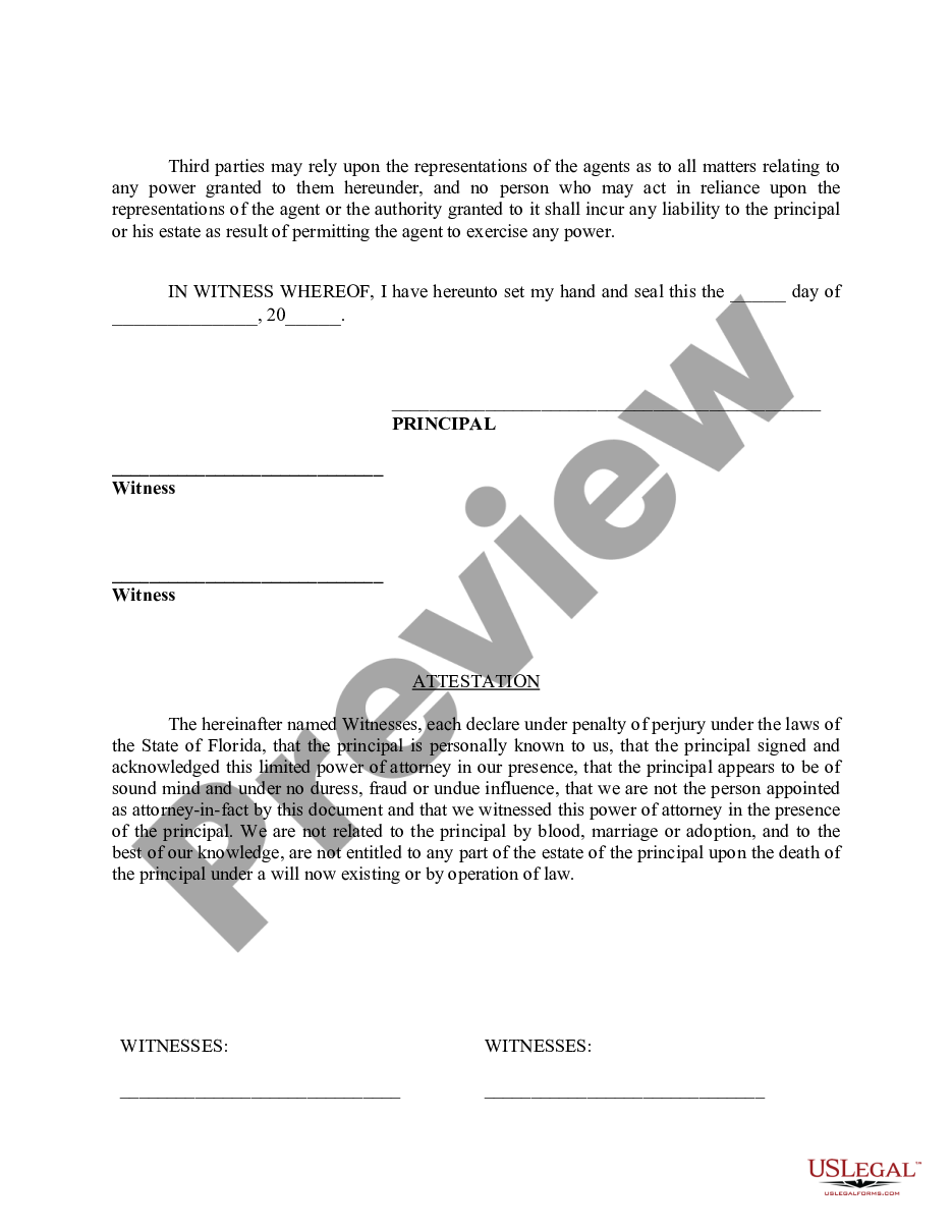 page 3 Limited Power of Attorney where you Specify Powers with Sample Powers Included preview