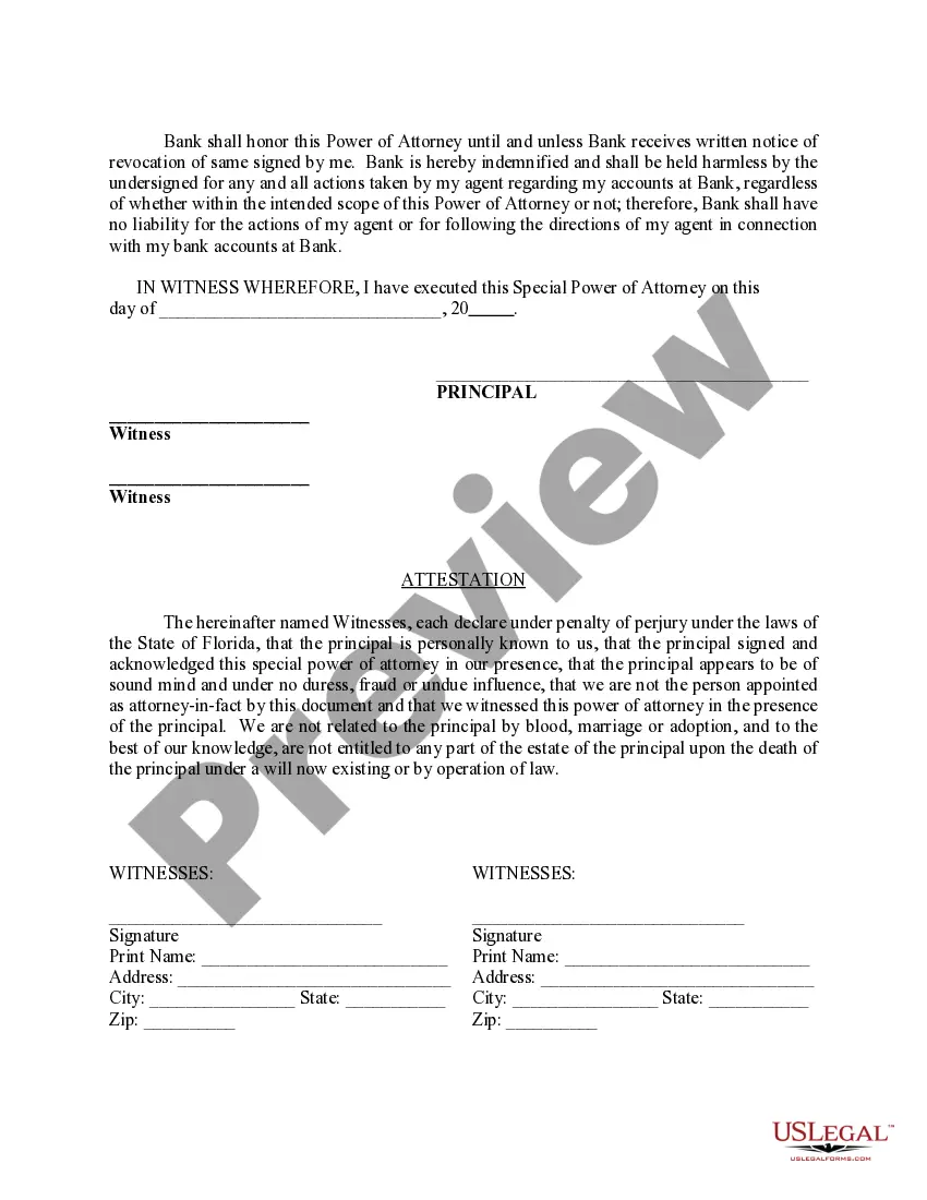 Preview Special Durable Power of Attorney for Bank Account Matters
