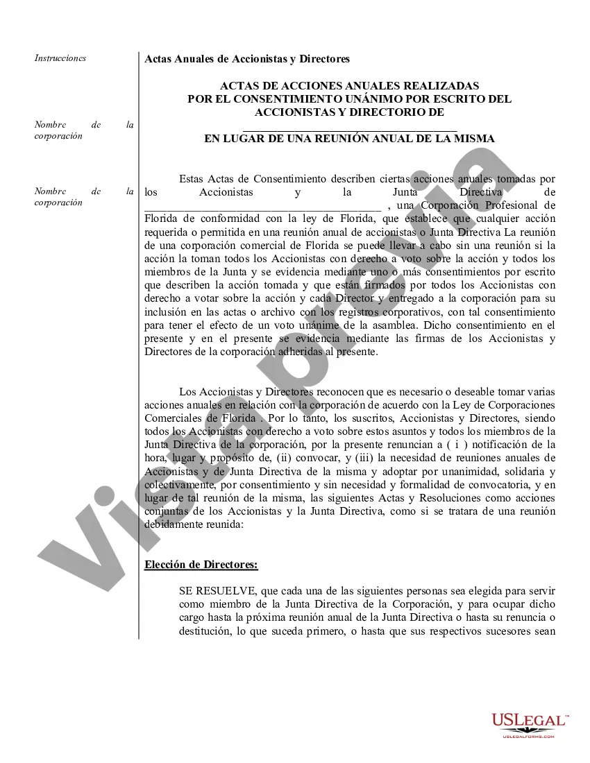 Preview Minutos anuales para una corporación profesional de Florida