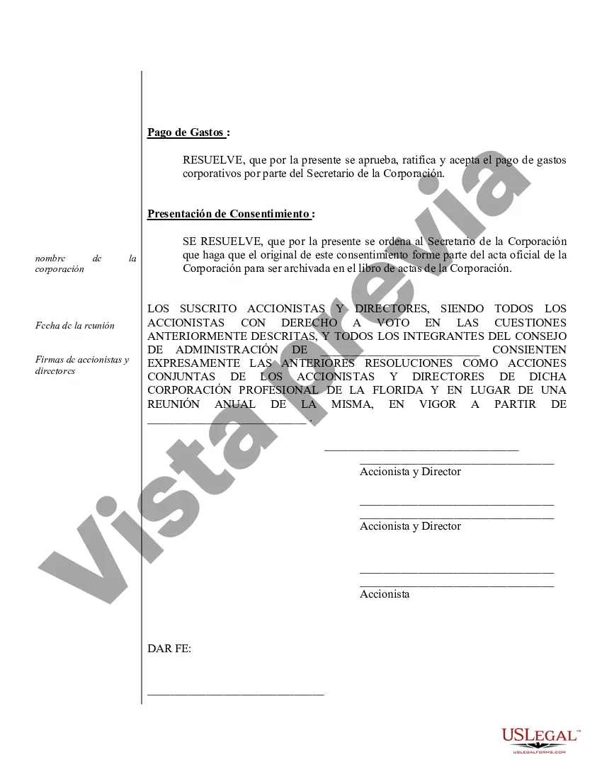 Preview Minutos anuales para una corporación profesional de Florida