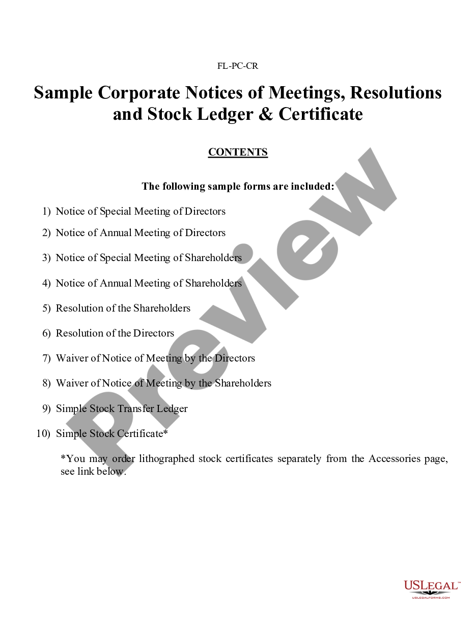 page 0 Sample Corporate Records for a Florida Professional Corporation preview