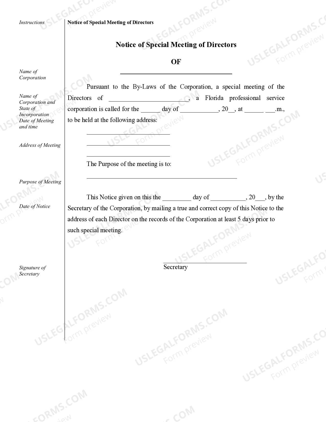 Preview Sample Corporate Records for a Florida Professional Corporation