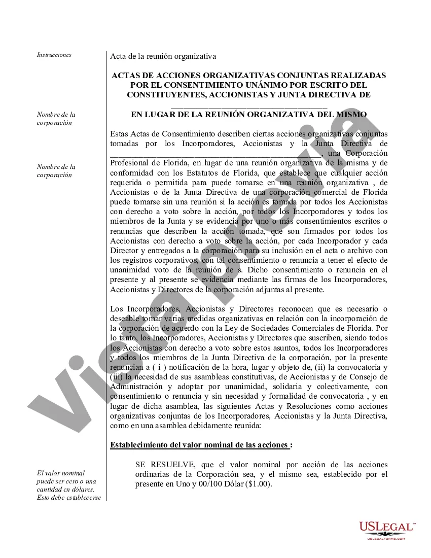 Preview Actas de organización para una corporación profesional de Florida