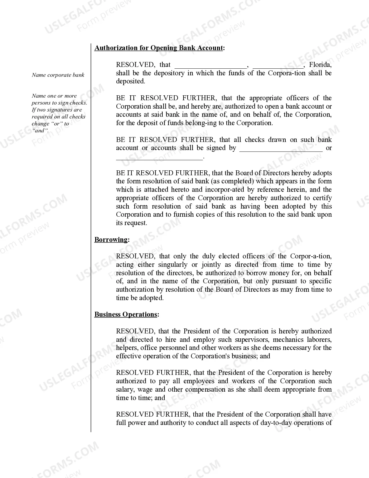 Preview Organizational Minutes for a Florida Professional Corporation