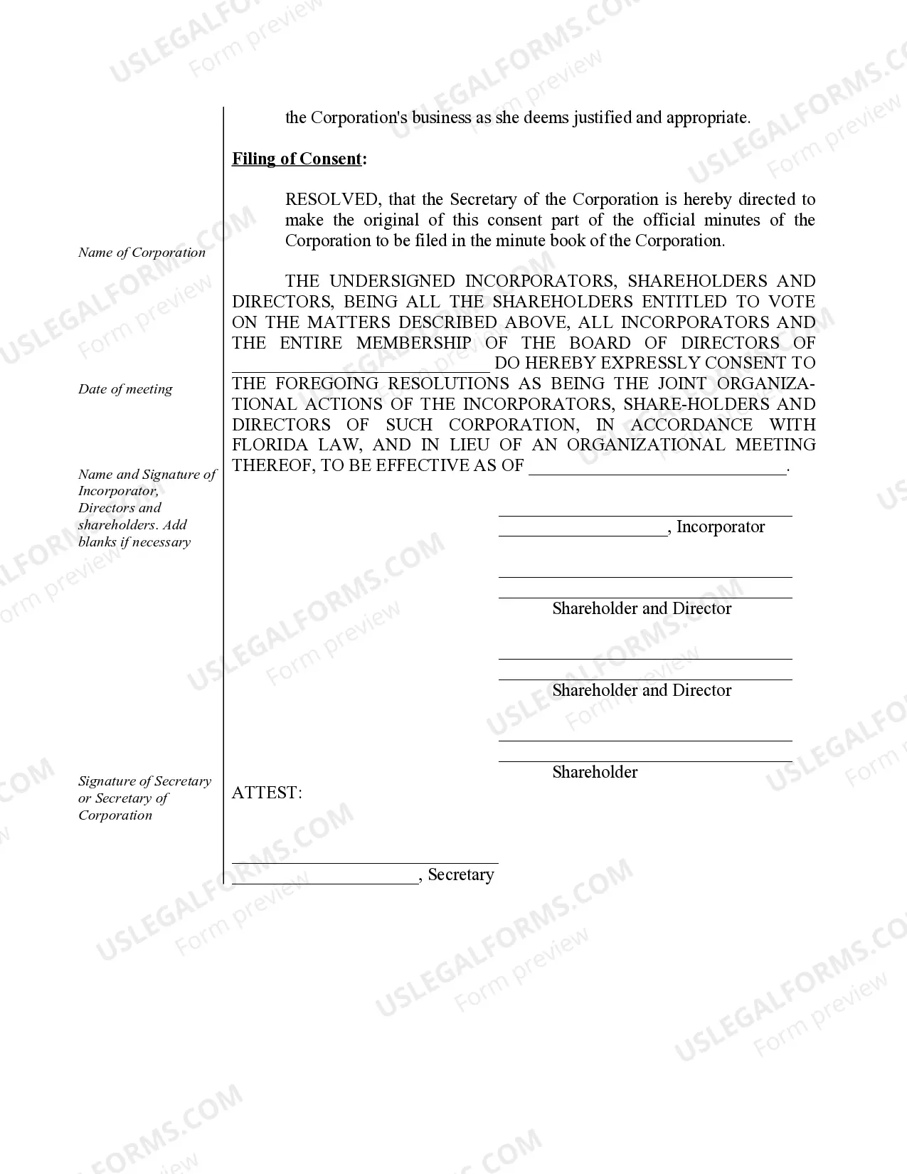 Preview Organizational Minutes for a Florida Professional Corporation