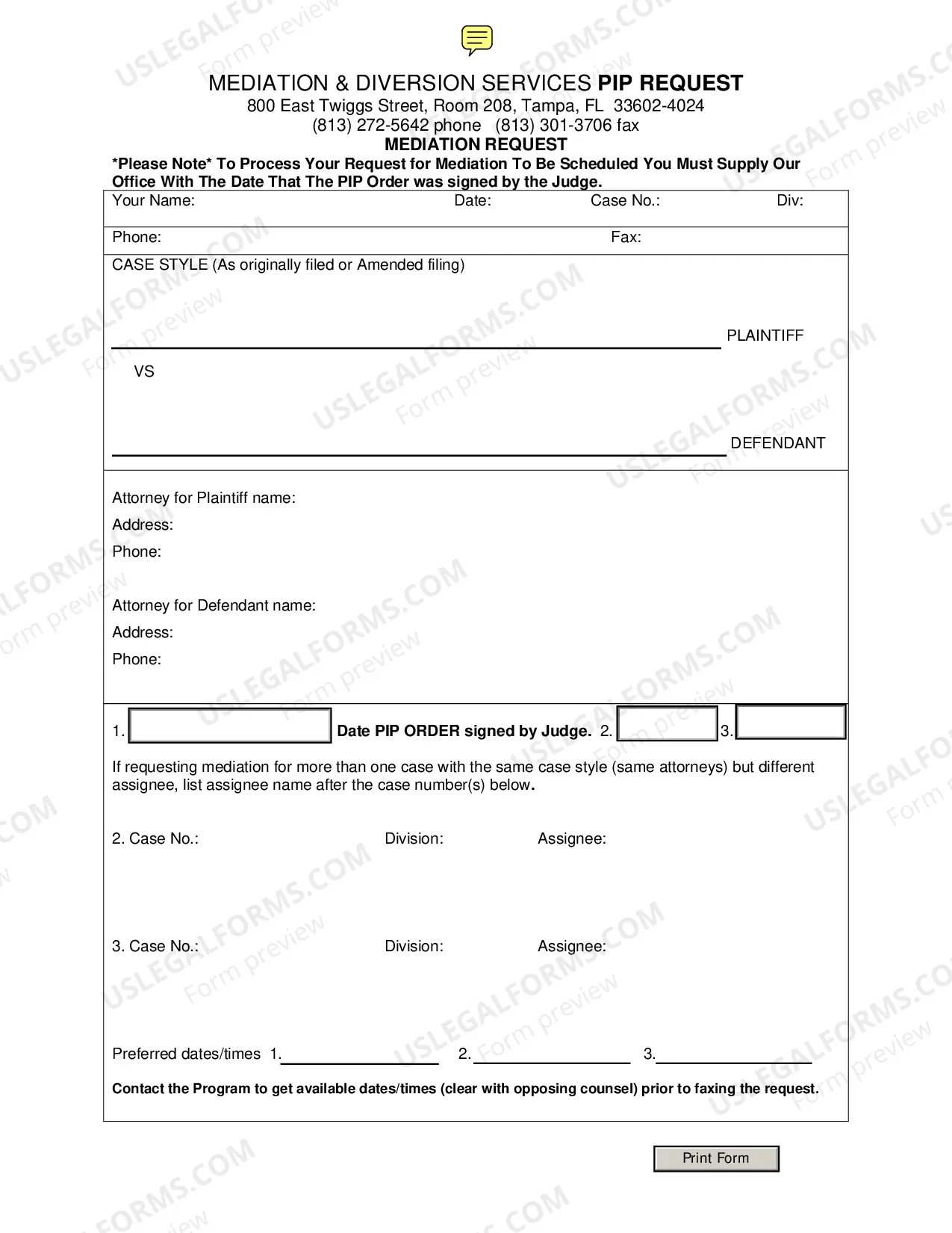 Preview Standard PIP Pre-Trial Order Div L