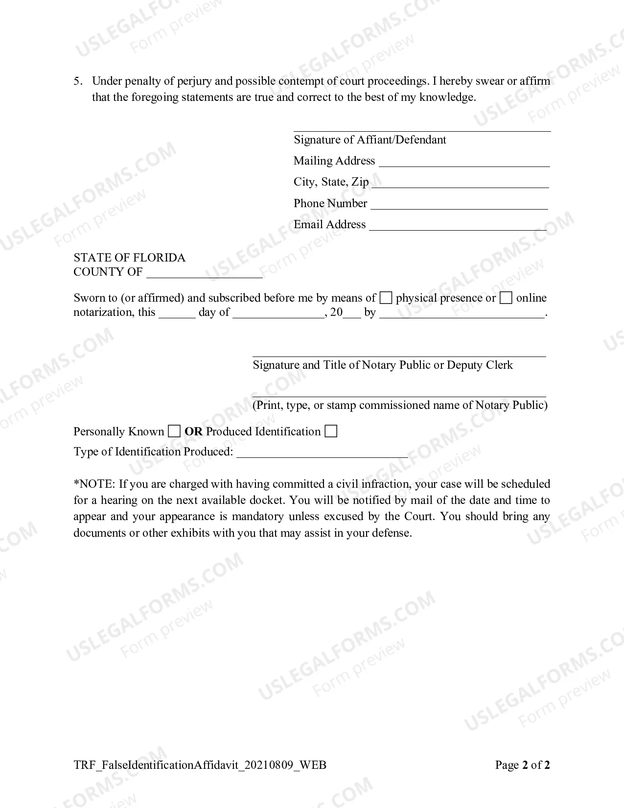Preview False Identification Affidavit