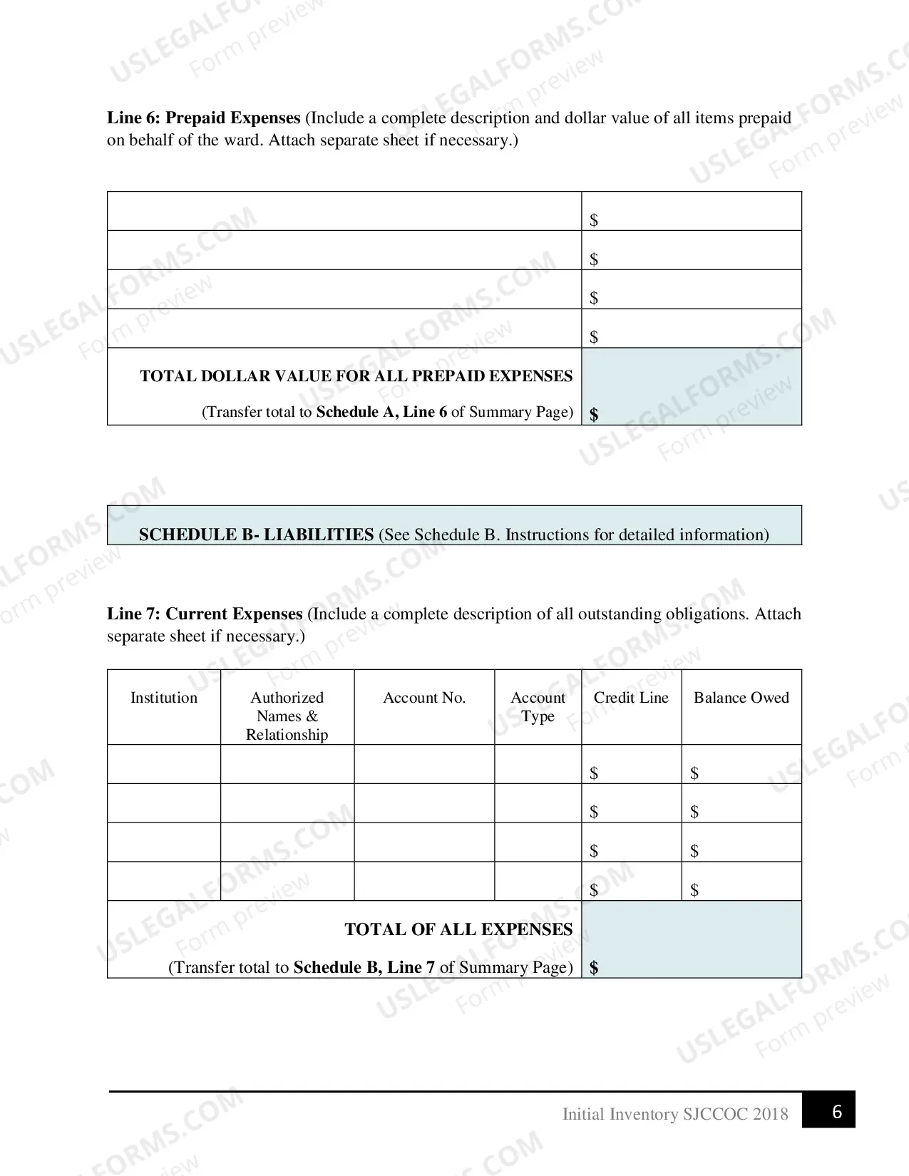 Preview Initial Verified Inventory (Guardianship)