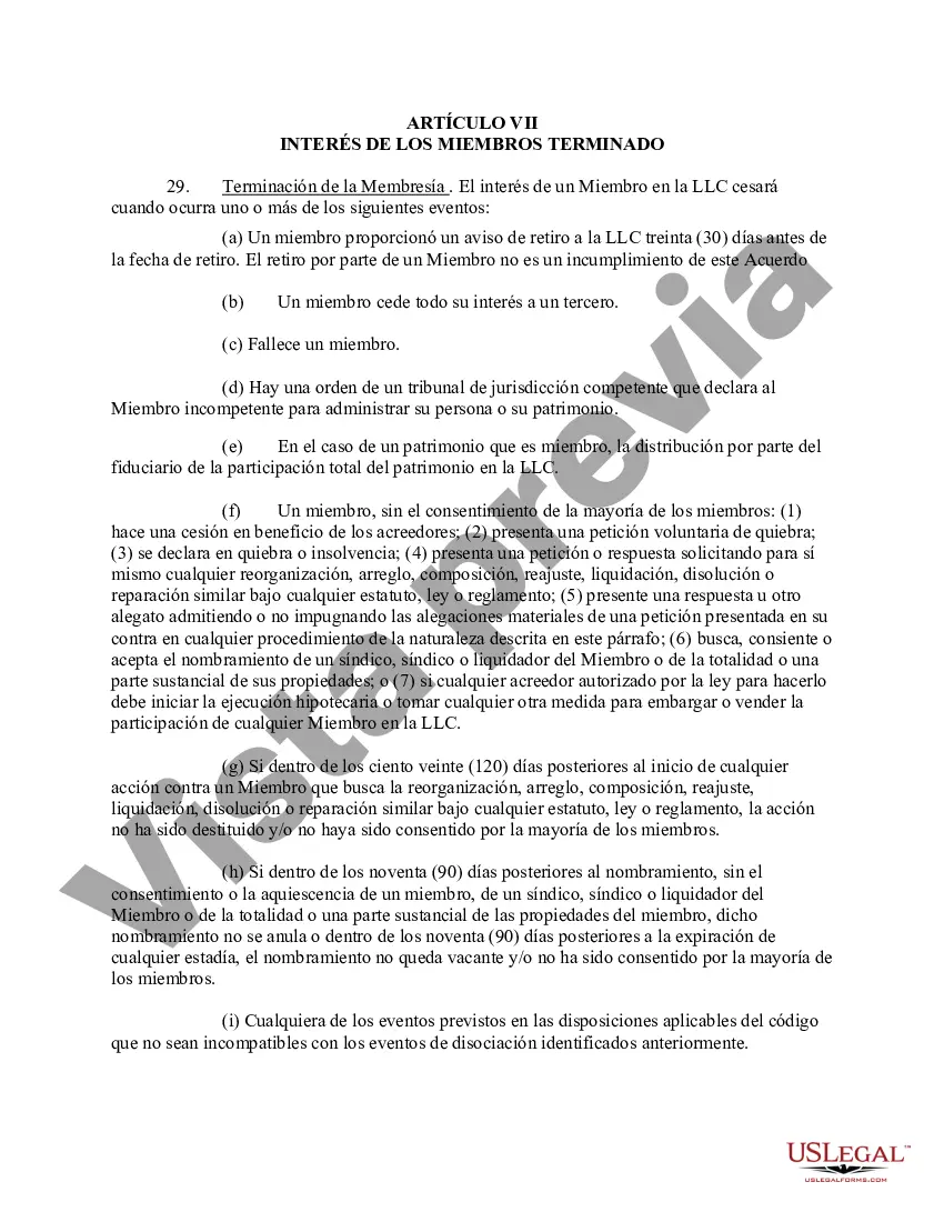 Preview Acuerdo Operativo de Sociedad de Responsabilidad Limitada LLC