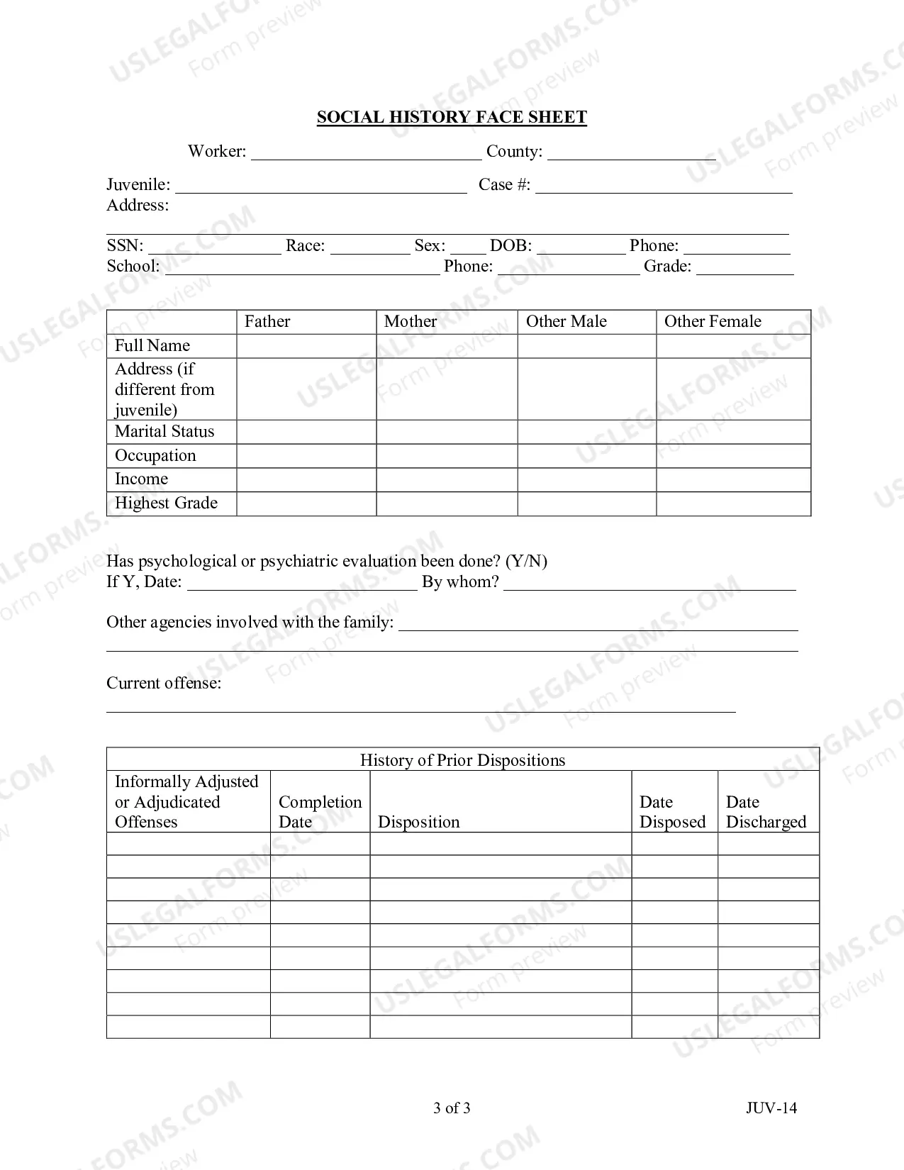 Preview Social History Format